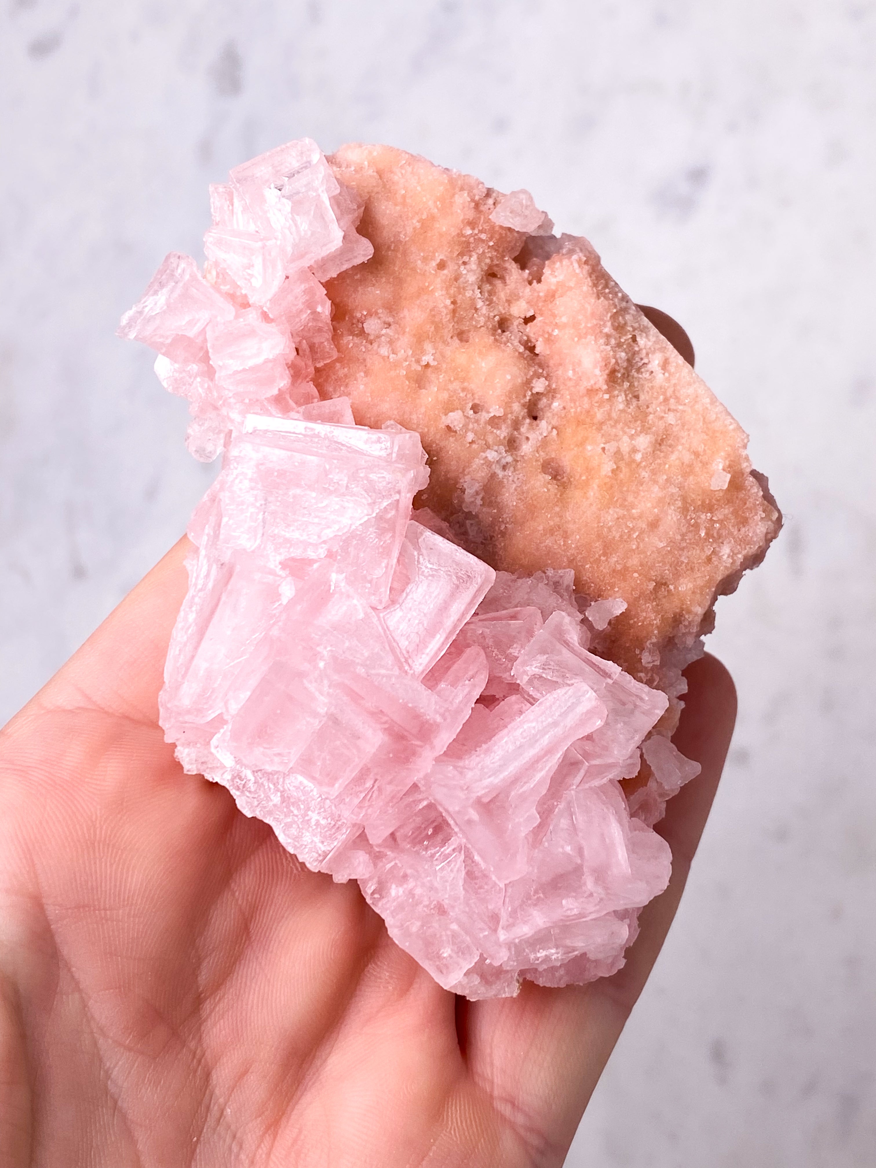 Rosa Halit (nr 42) Exklusiv kvalitet