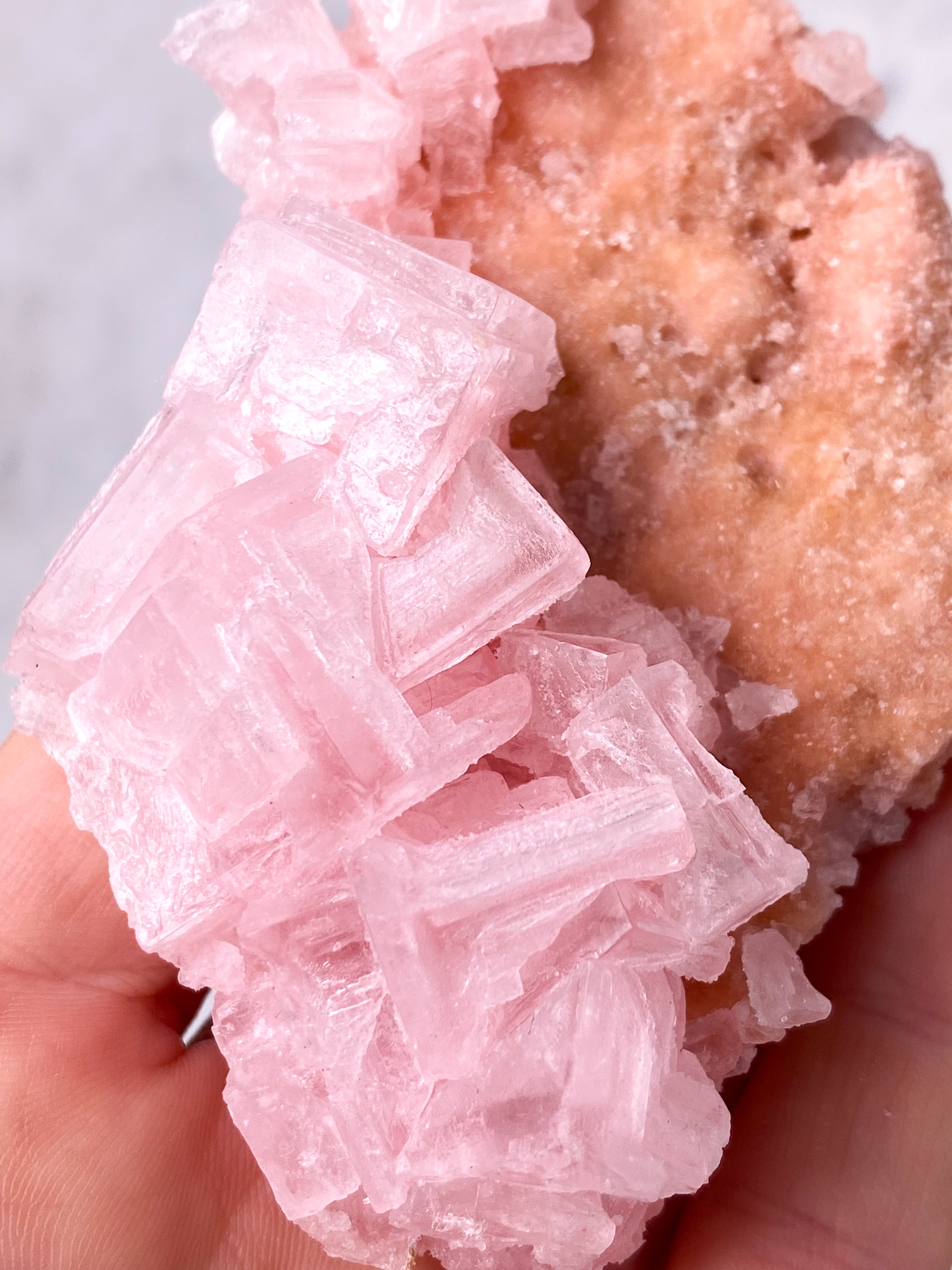 Rosa Halit (nr 42) Exklusiv kvalitet