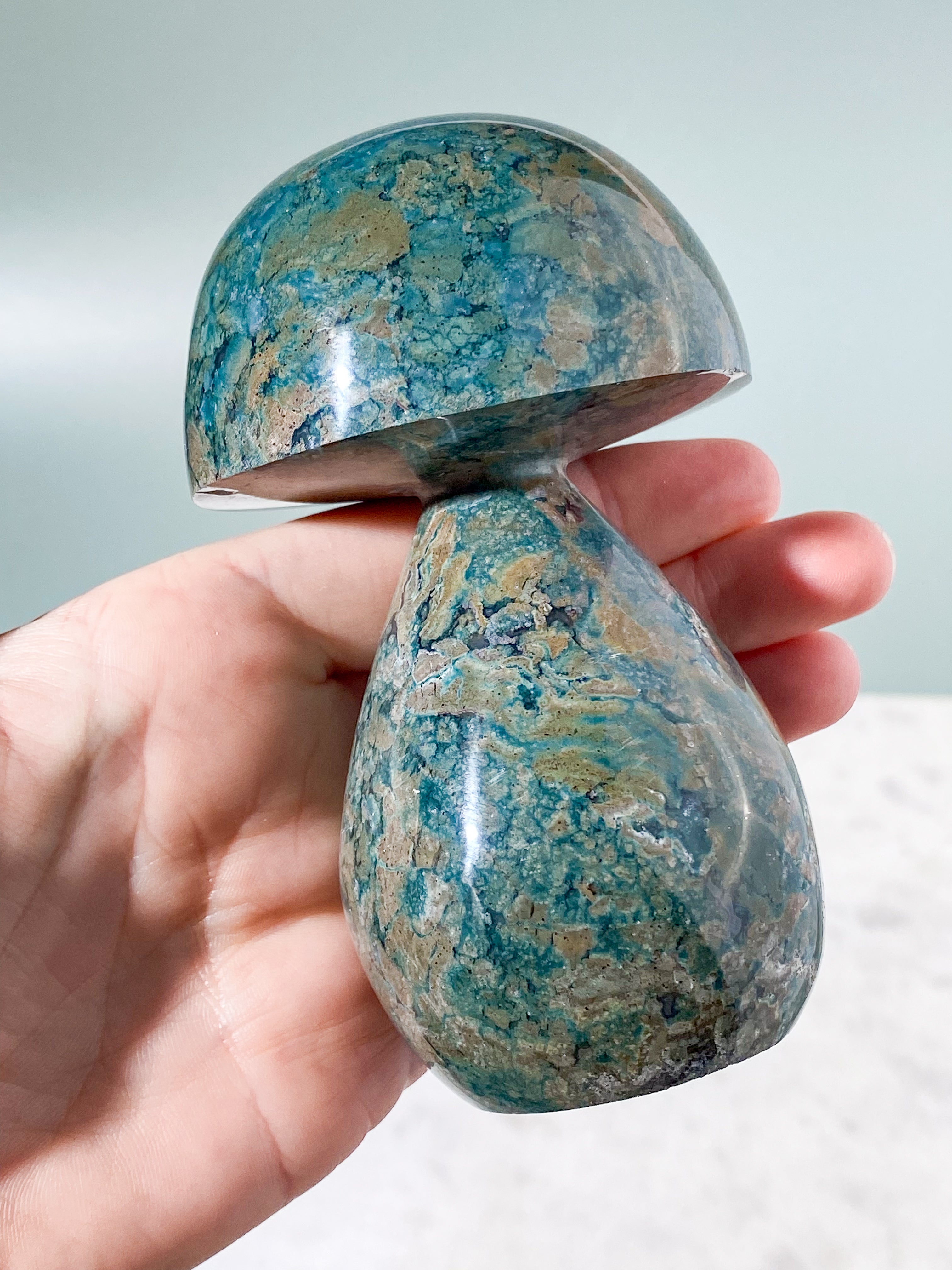 Ocean Jasper Svamp (nr 6)