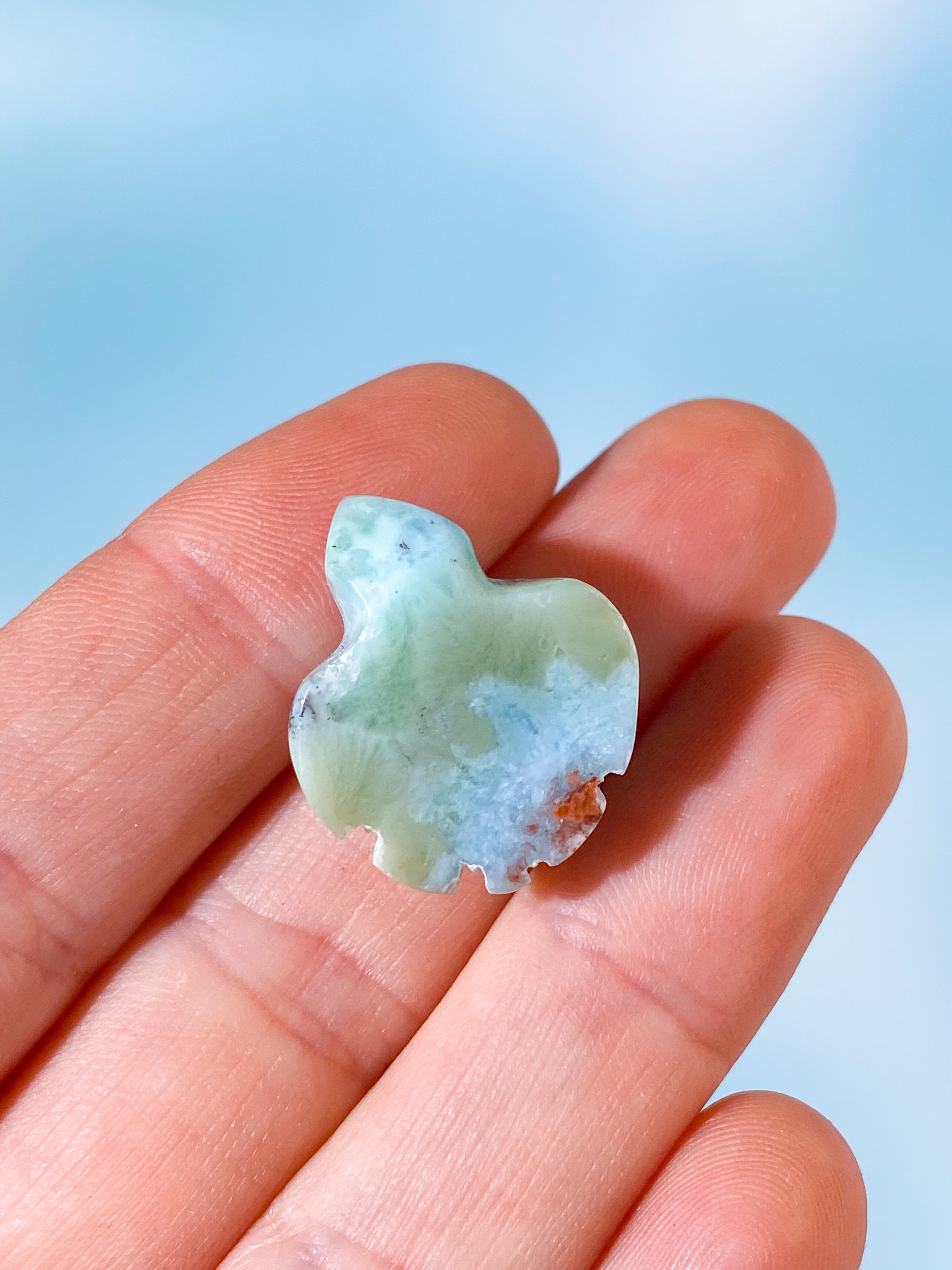 Larimar Sköldpadda (Nr. 2)