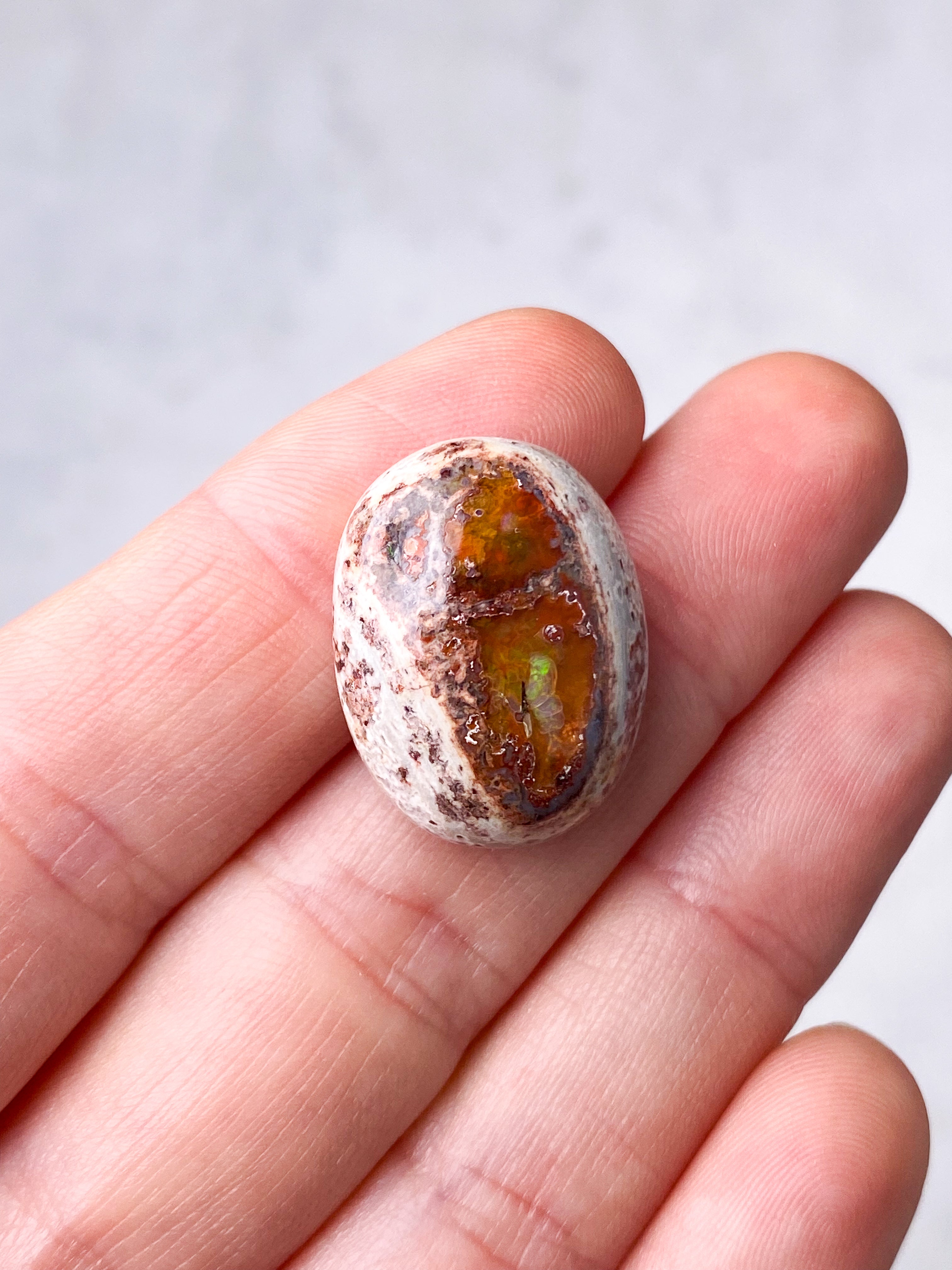 Mexicansk Opal (Nr. 31)