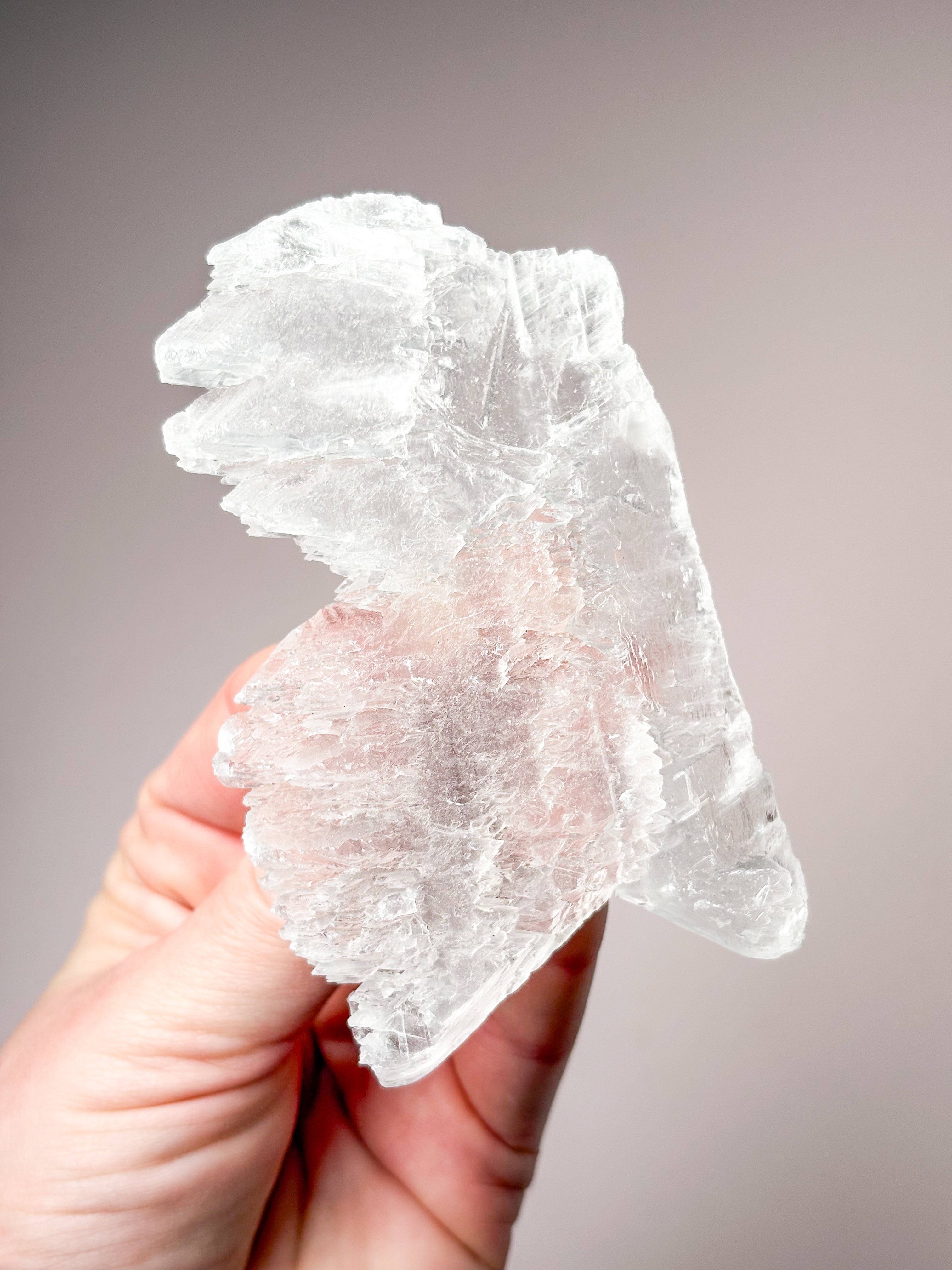 Fiskstjärt/Ängelvinge Selenit (nr 14) Exklusiv kvalitet