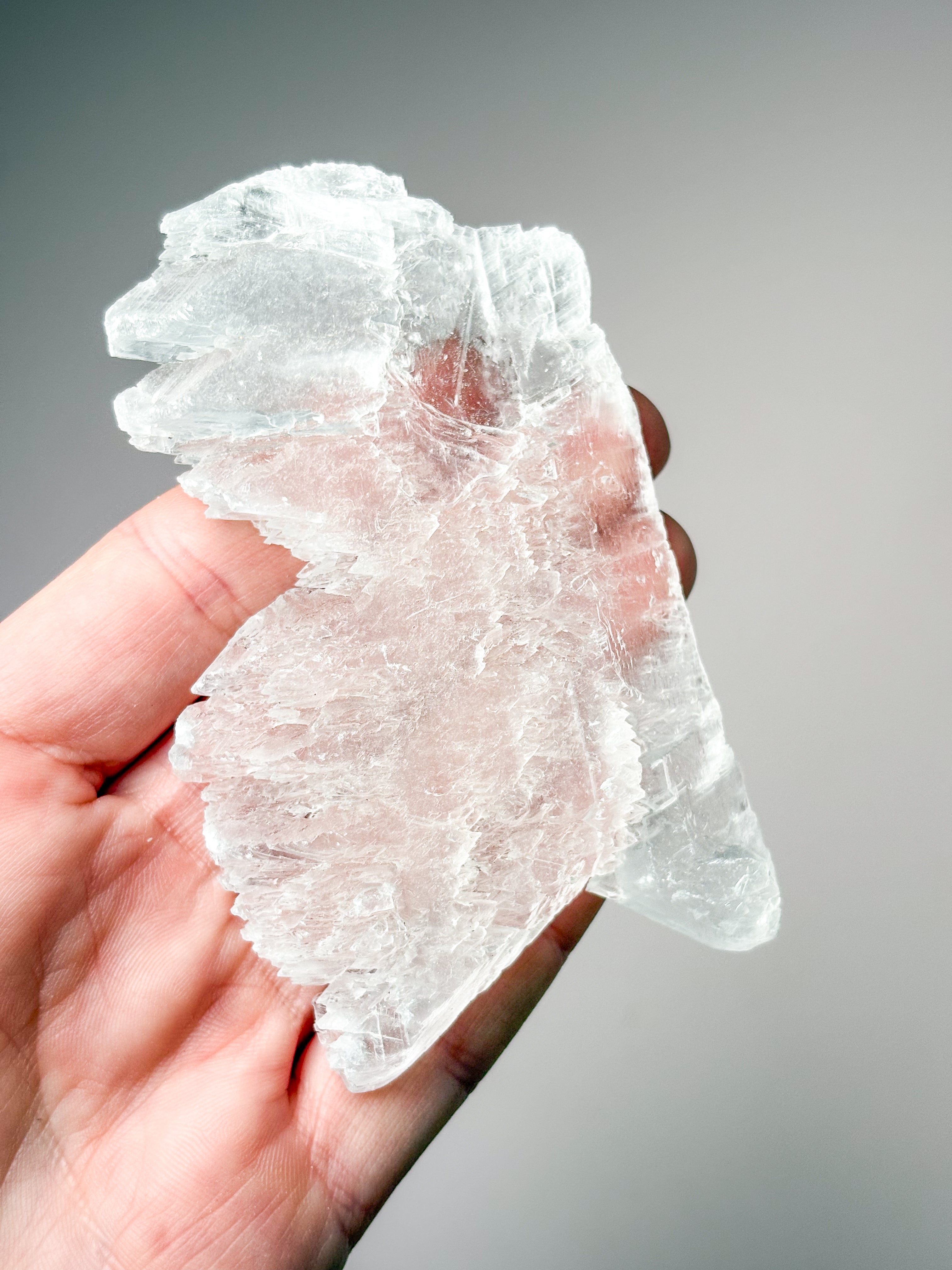 Fiskstjärt/Ängelvinge Selenit (nr 14) Exklusiv kvalitet