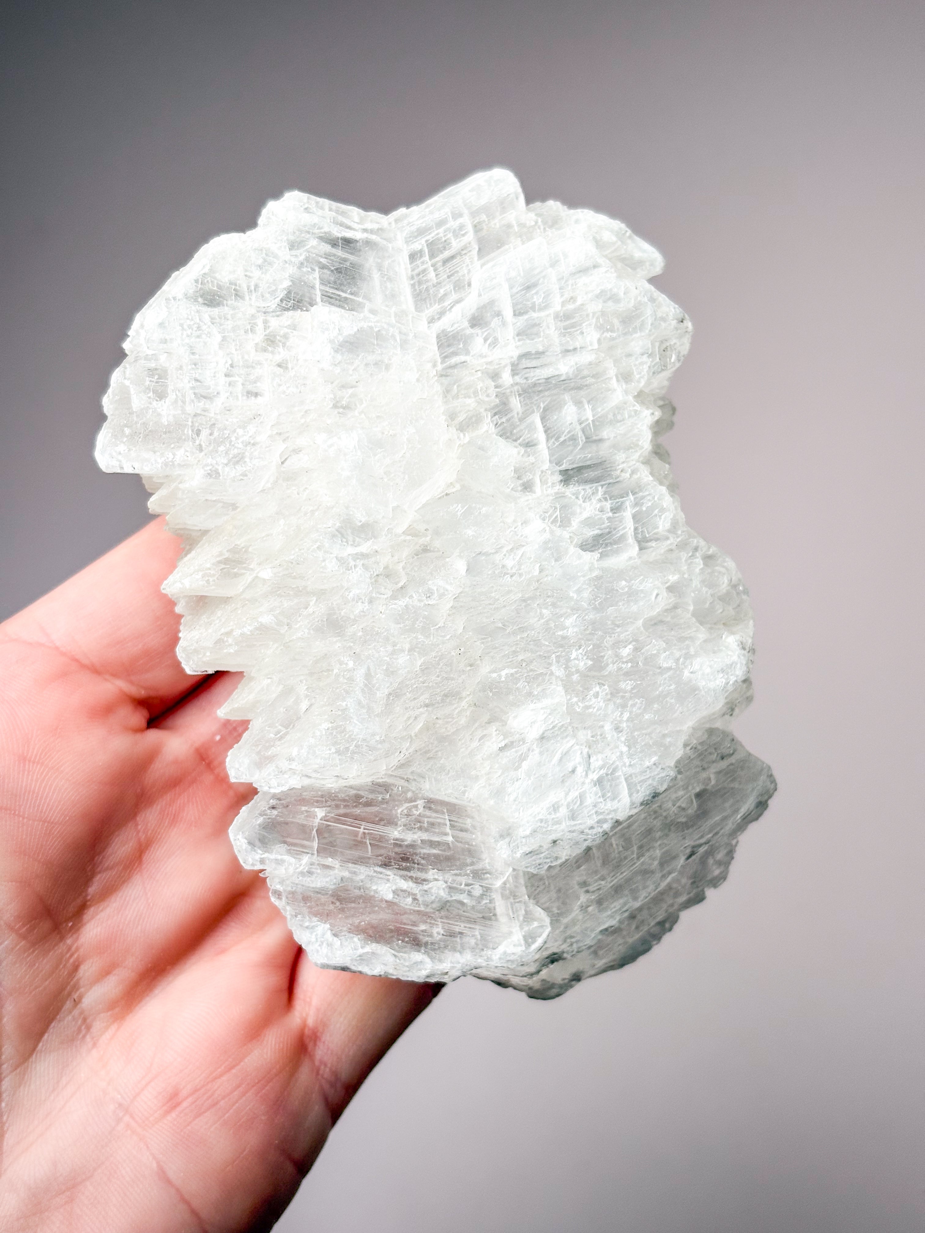 Fiskstjärt/Ängelvinge Selenit (nr 19) Exklusiv kvalitet