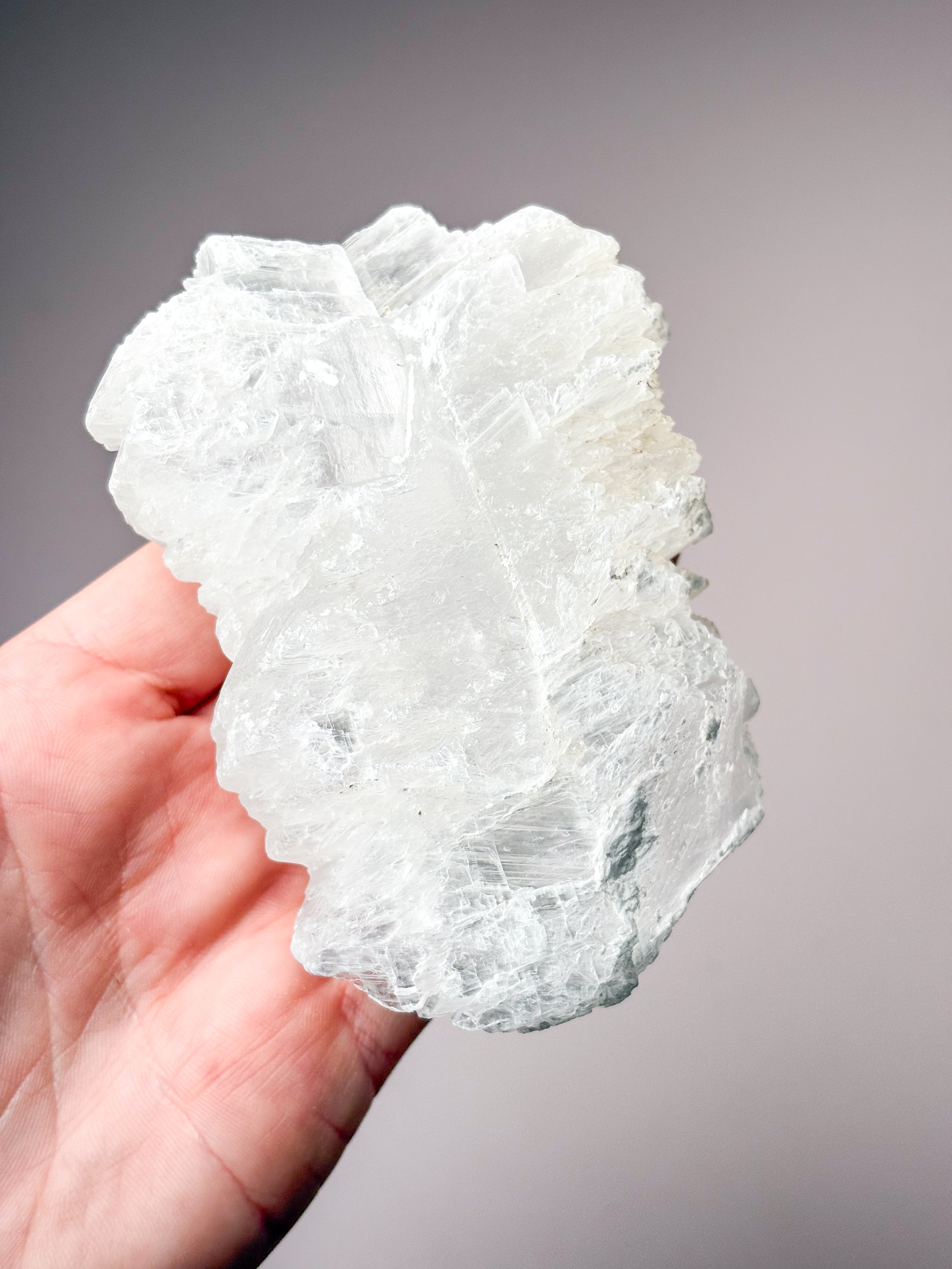 Fiskstjärt/Ängelvinge Selenit (nr 19) Exklusiv kvalitet