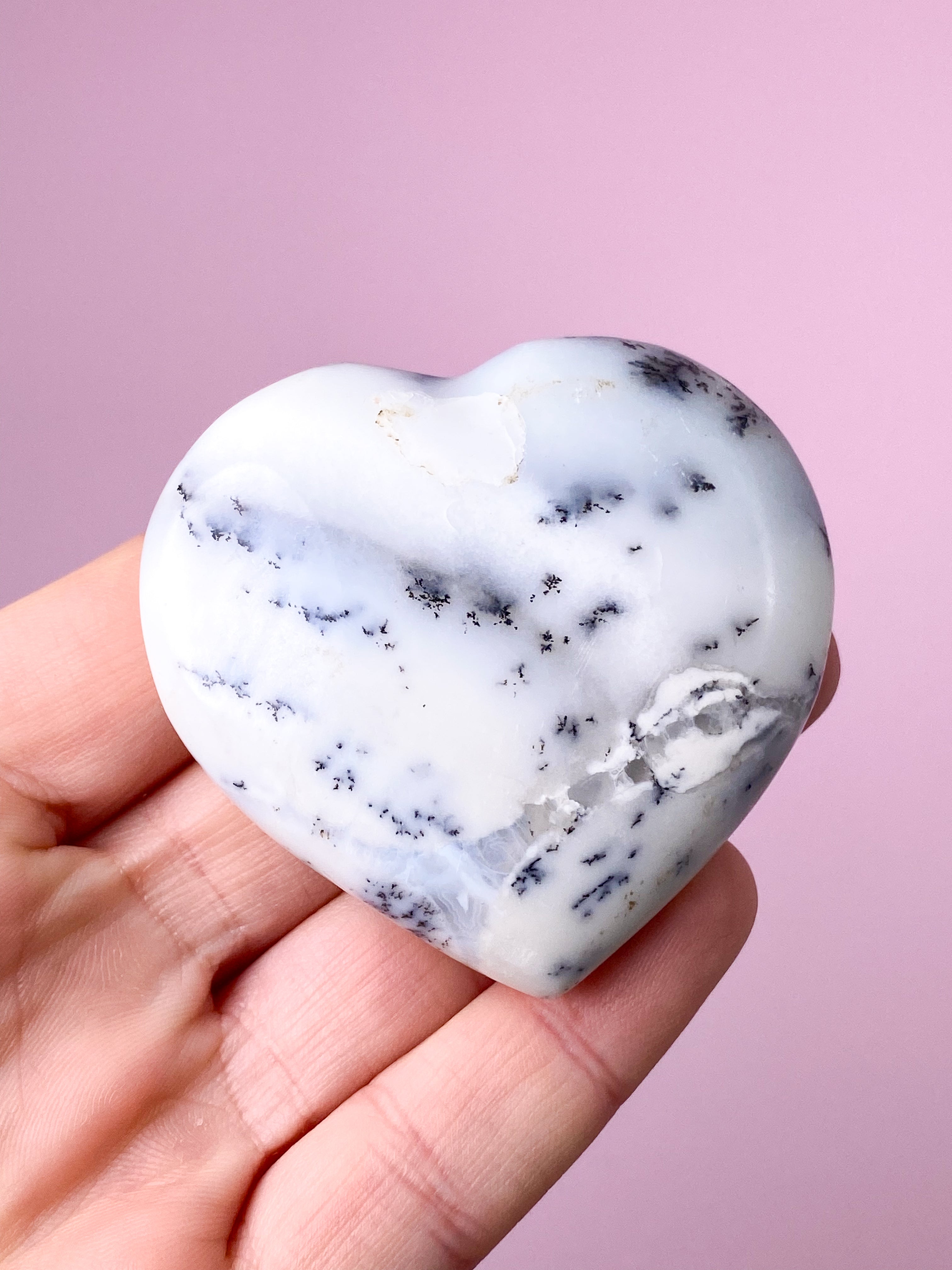 Dendrit Opal Svamp (nr 5)