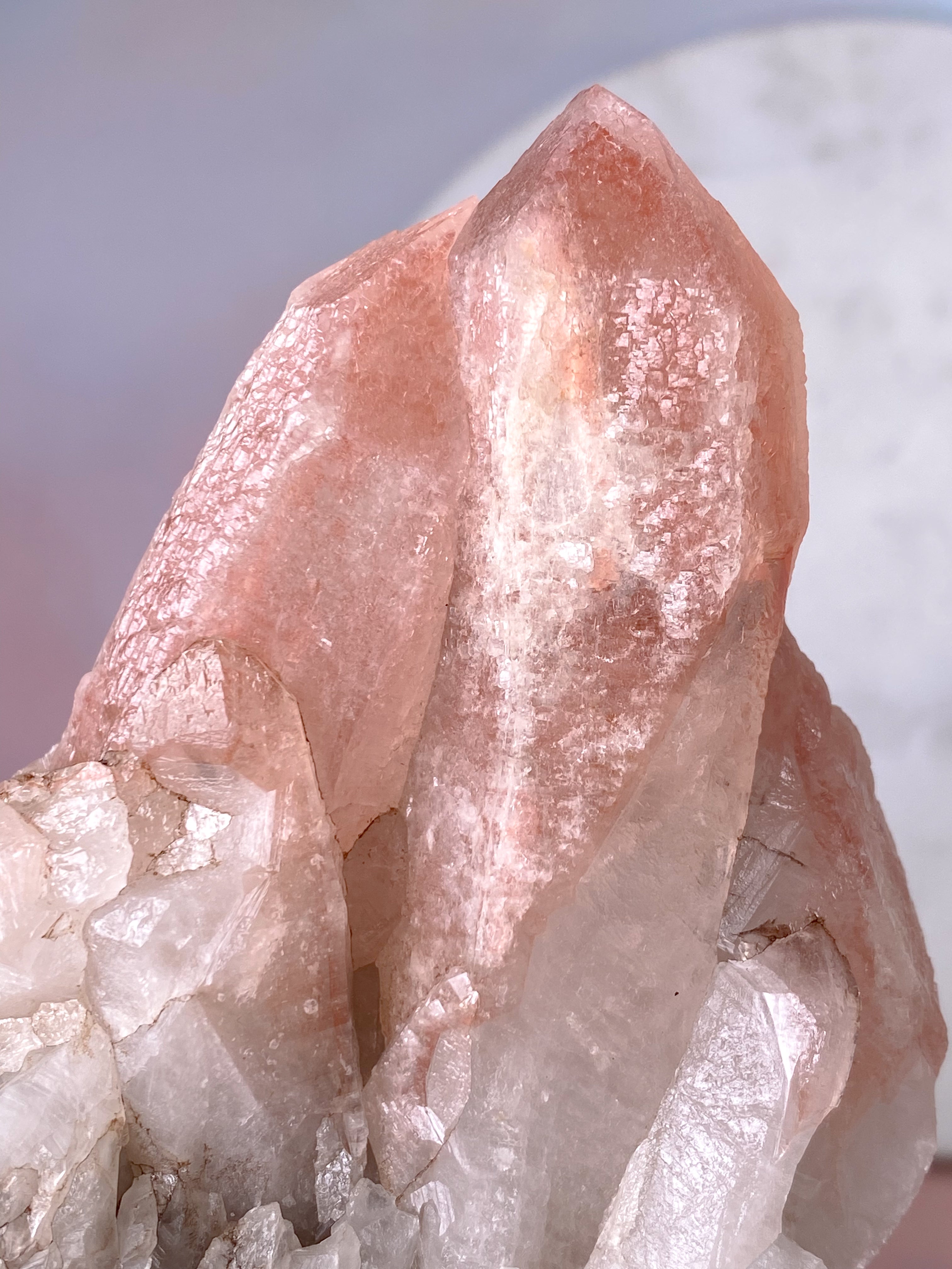 Rosa Lemuriakvartskluster (nr 3)