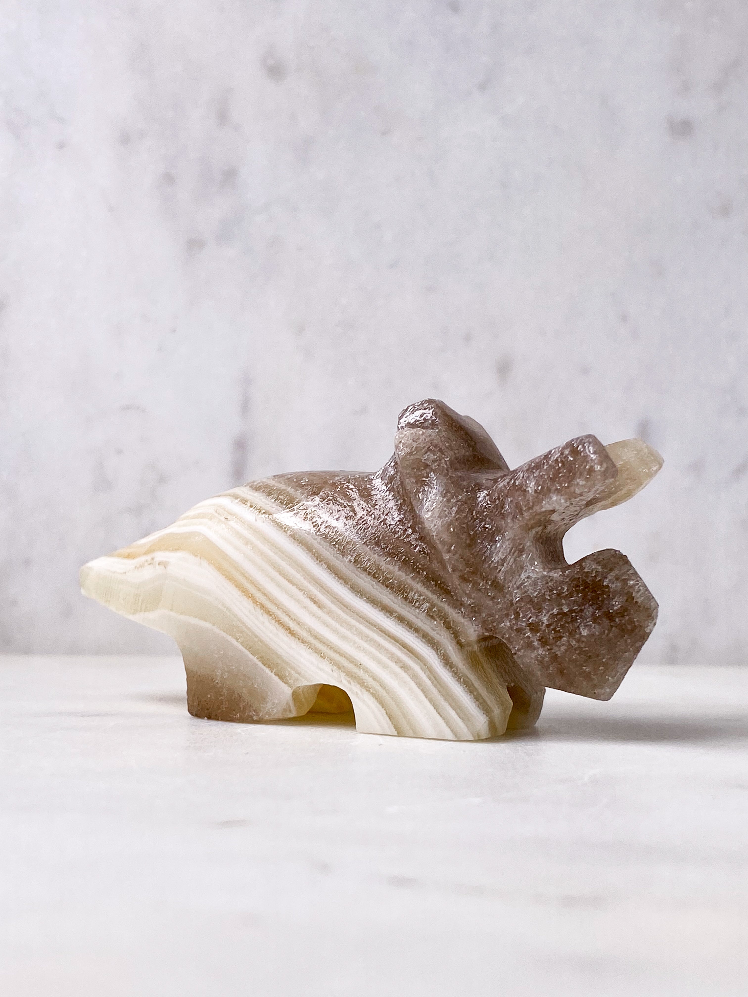 Zebra Calcit Triceratops (Nr. 3)