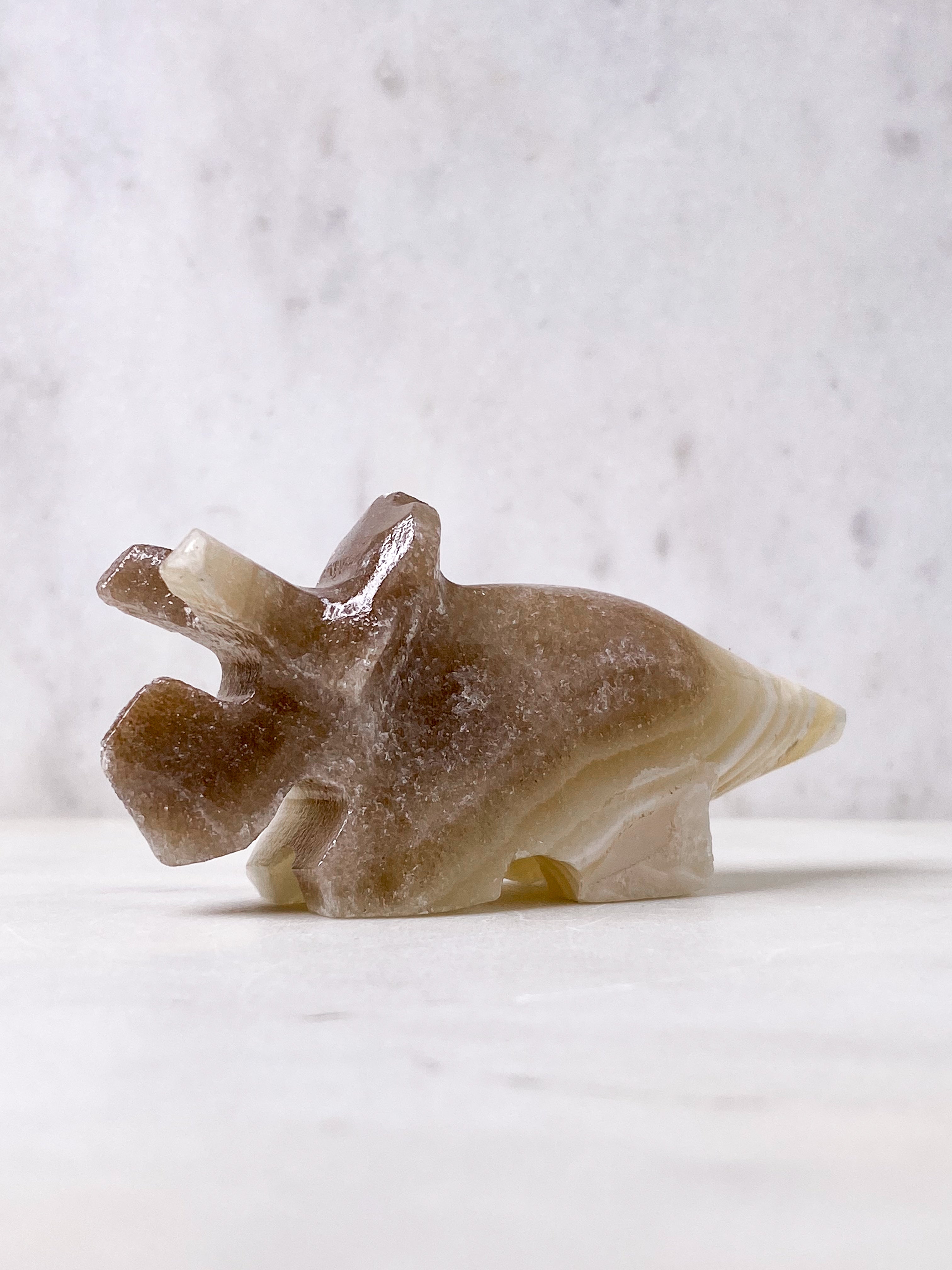 Zebra Calcit Triceratops (Nr. 3)