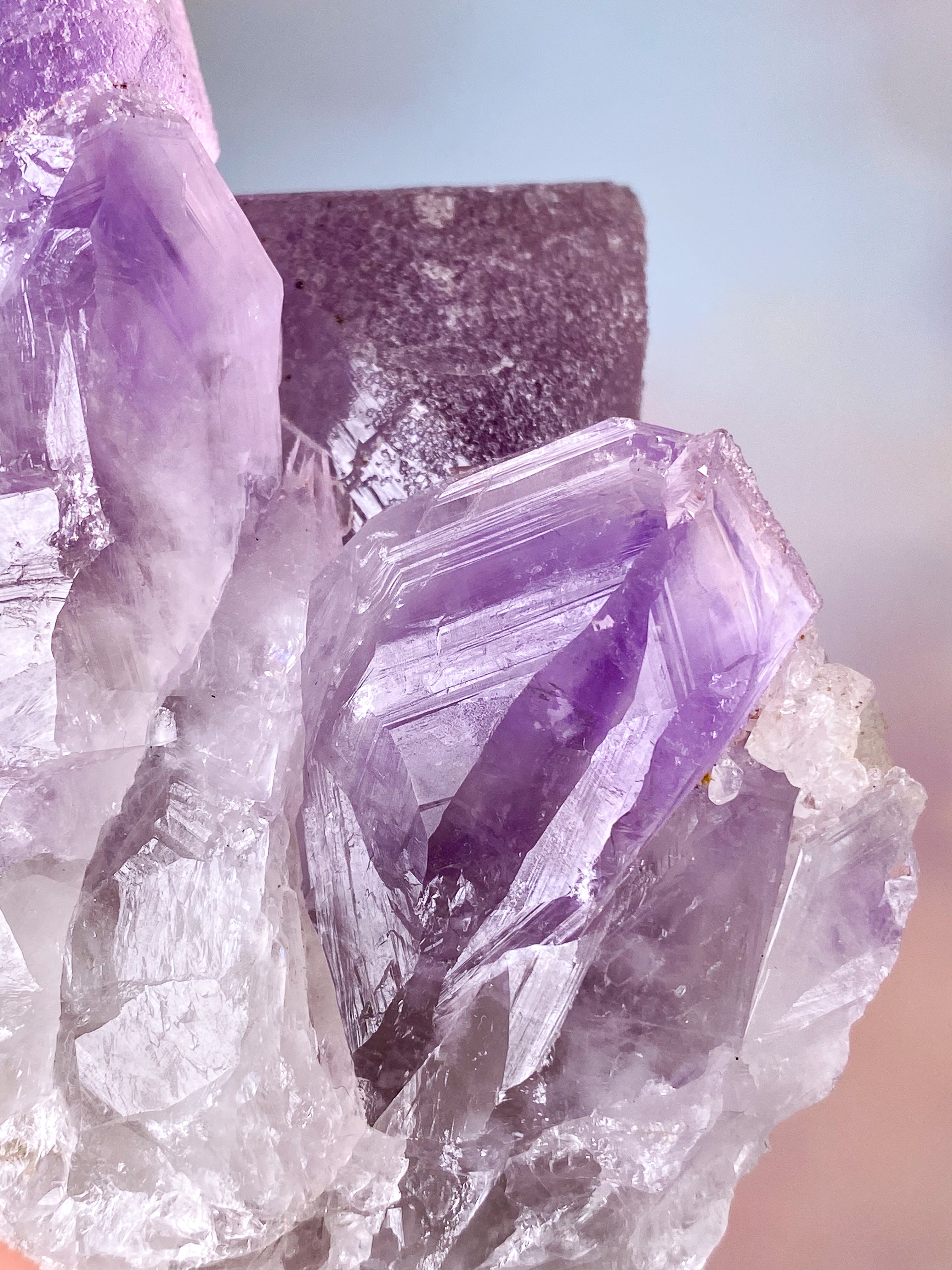 Jakaranda Ametistkluster (nr 17)