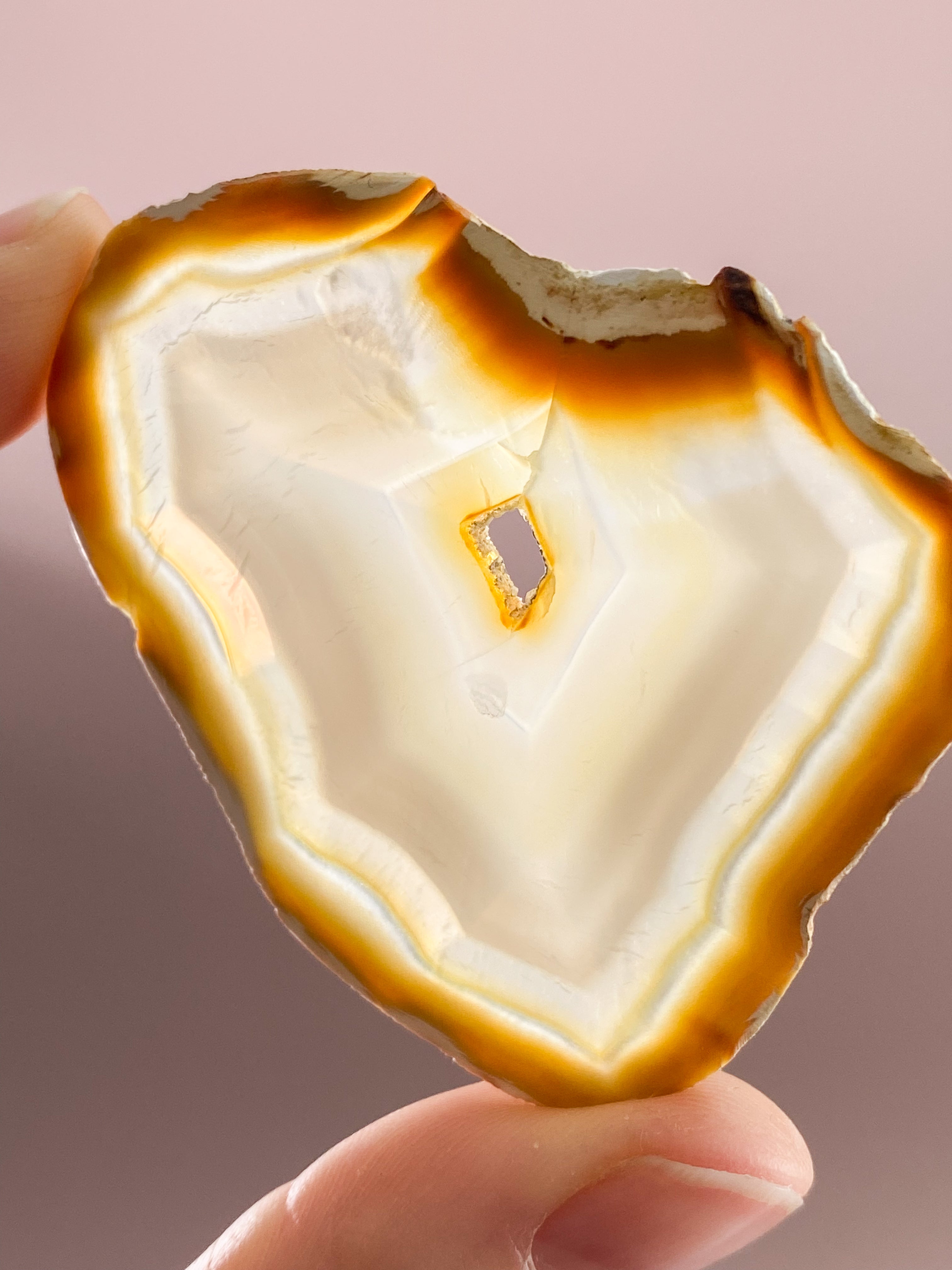 Iris Agatskiva (nr 33)