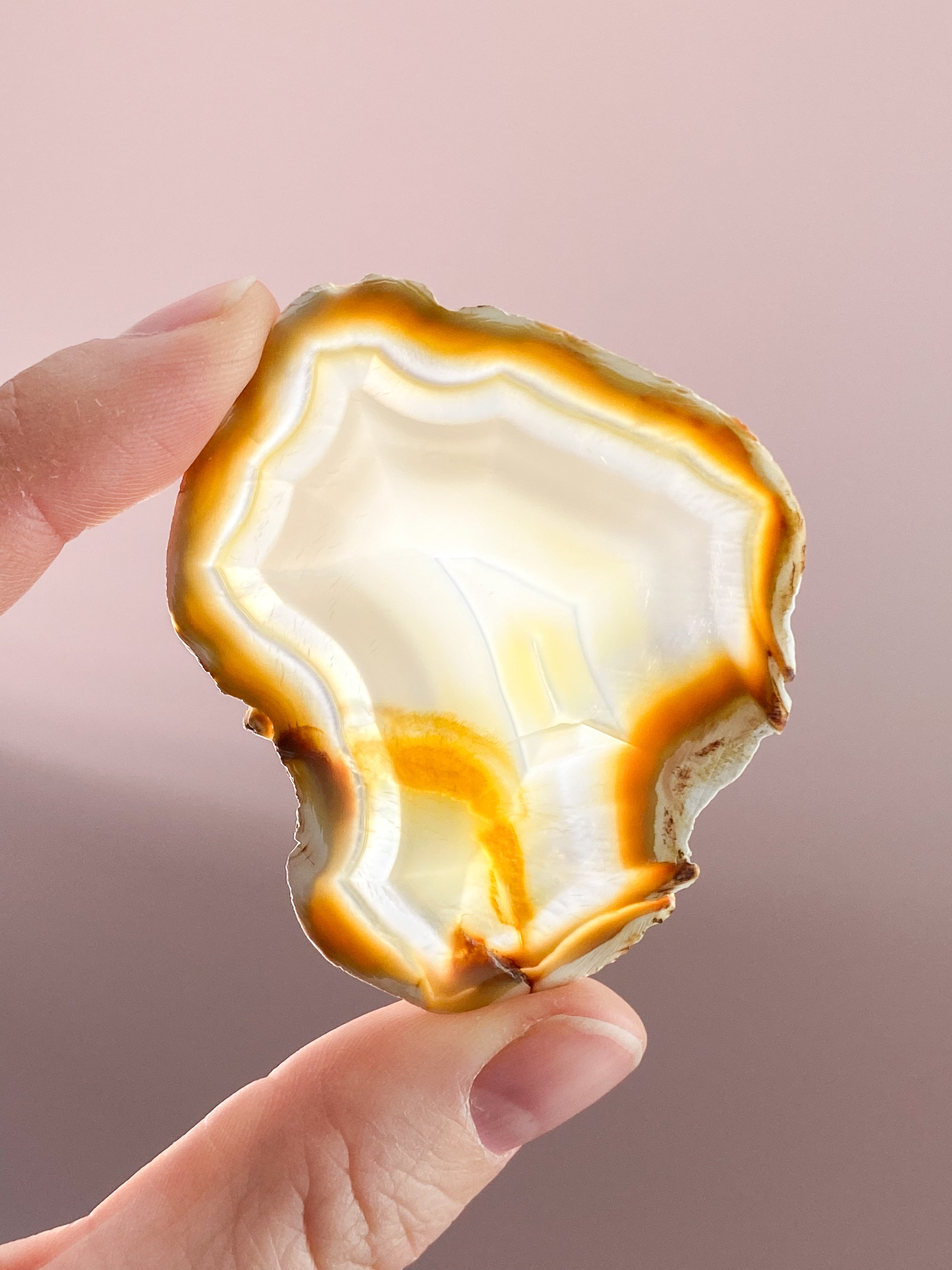 Iris Agatskiva (nr 34)