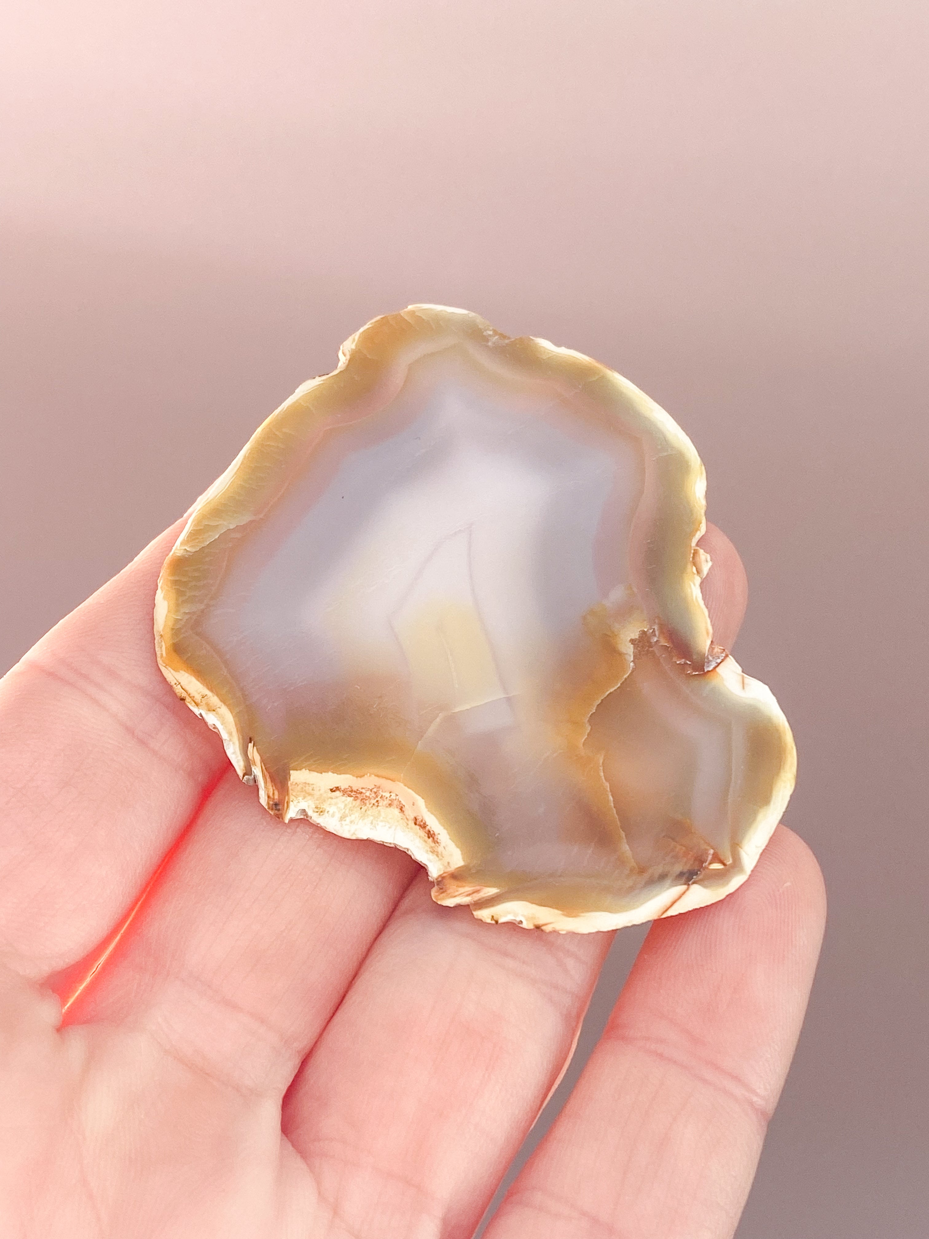 Iris Agatskiva (nr 34)