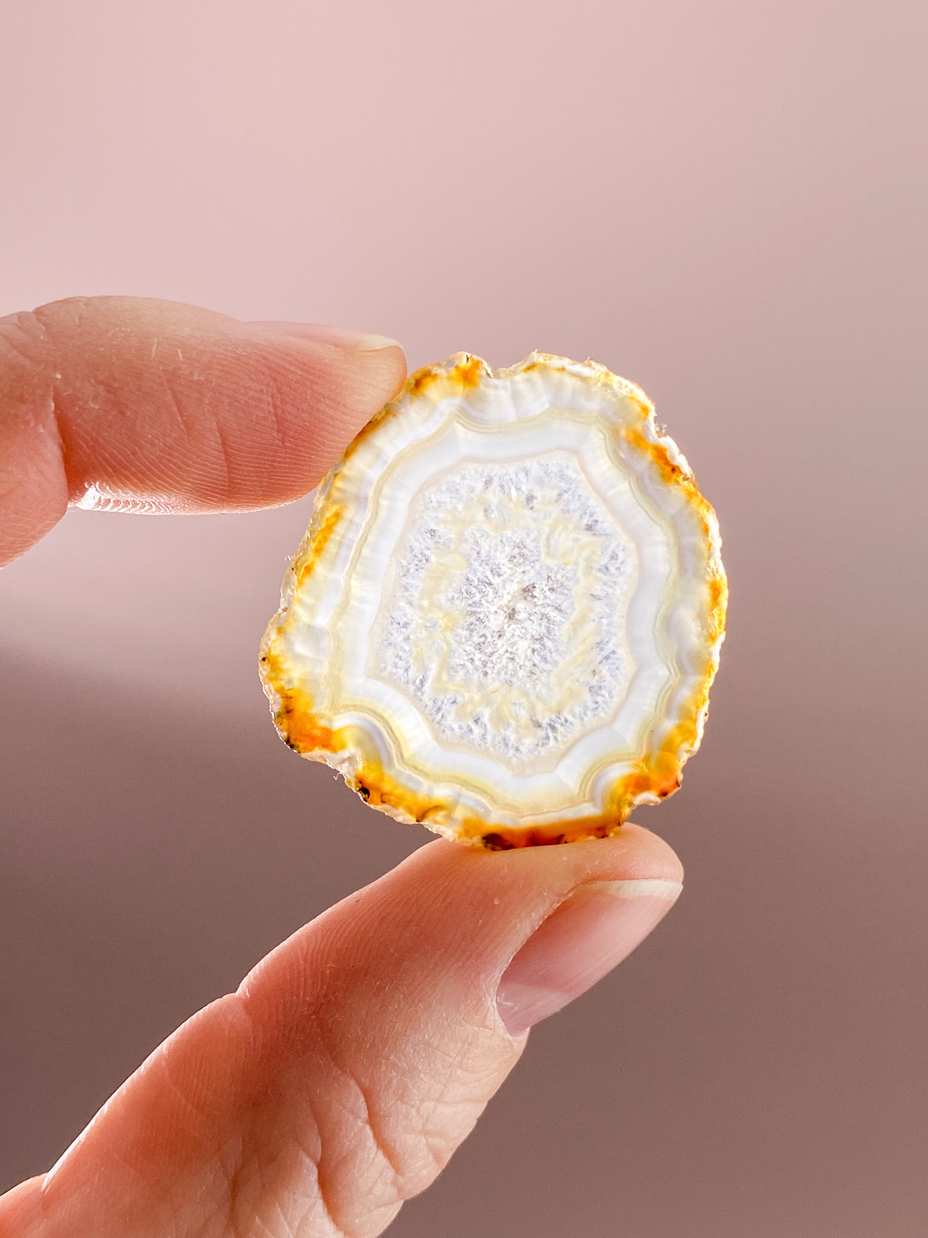 Iris Agatskiva (nr 36)