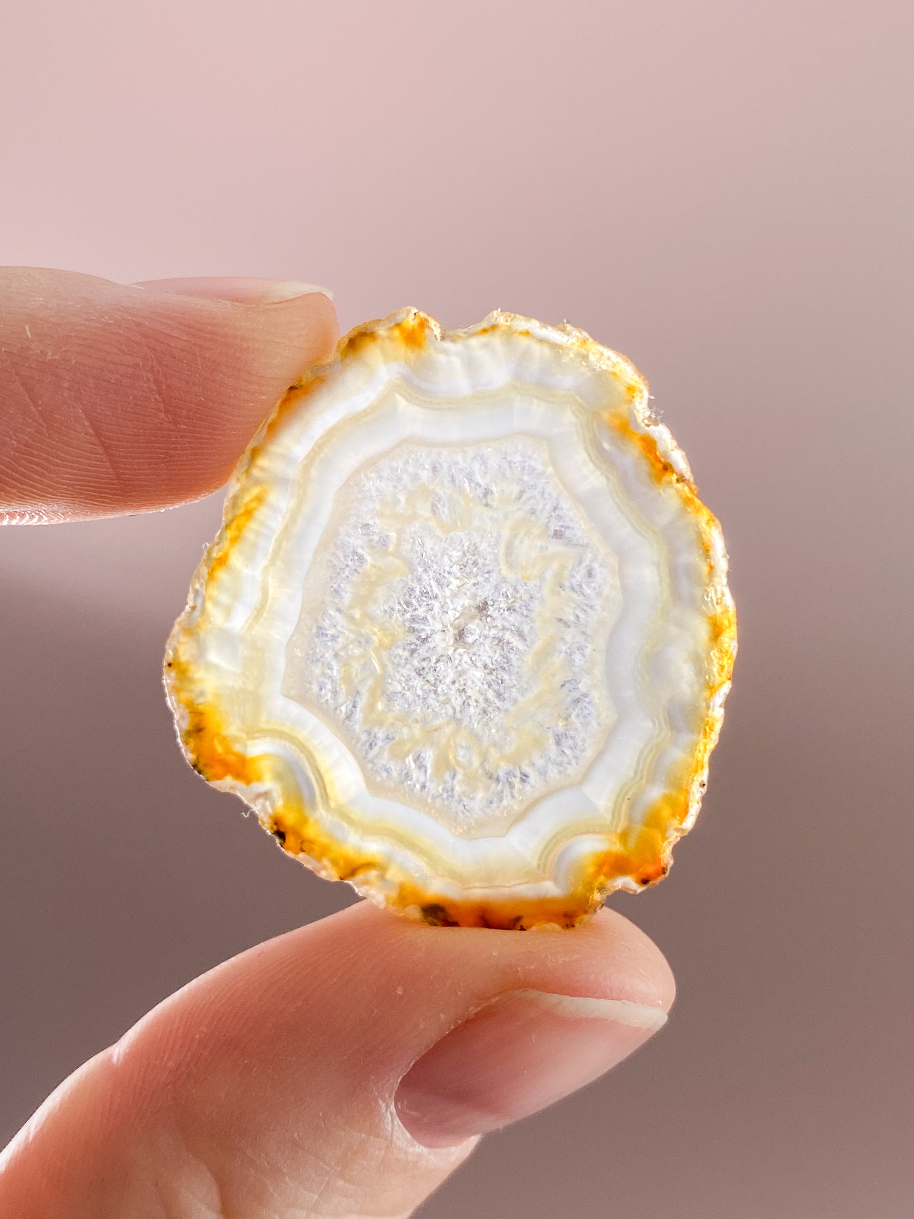 Iris Agatskiva (nr 36)