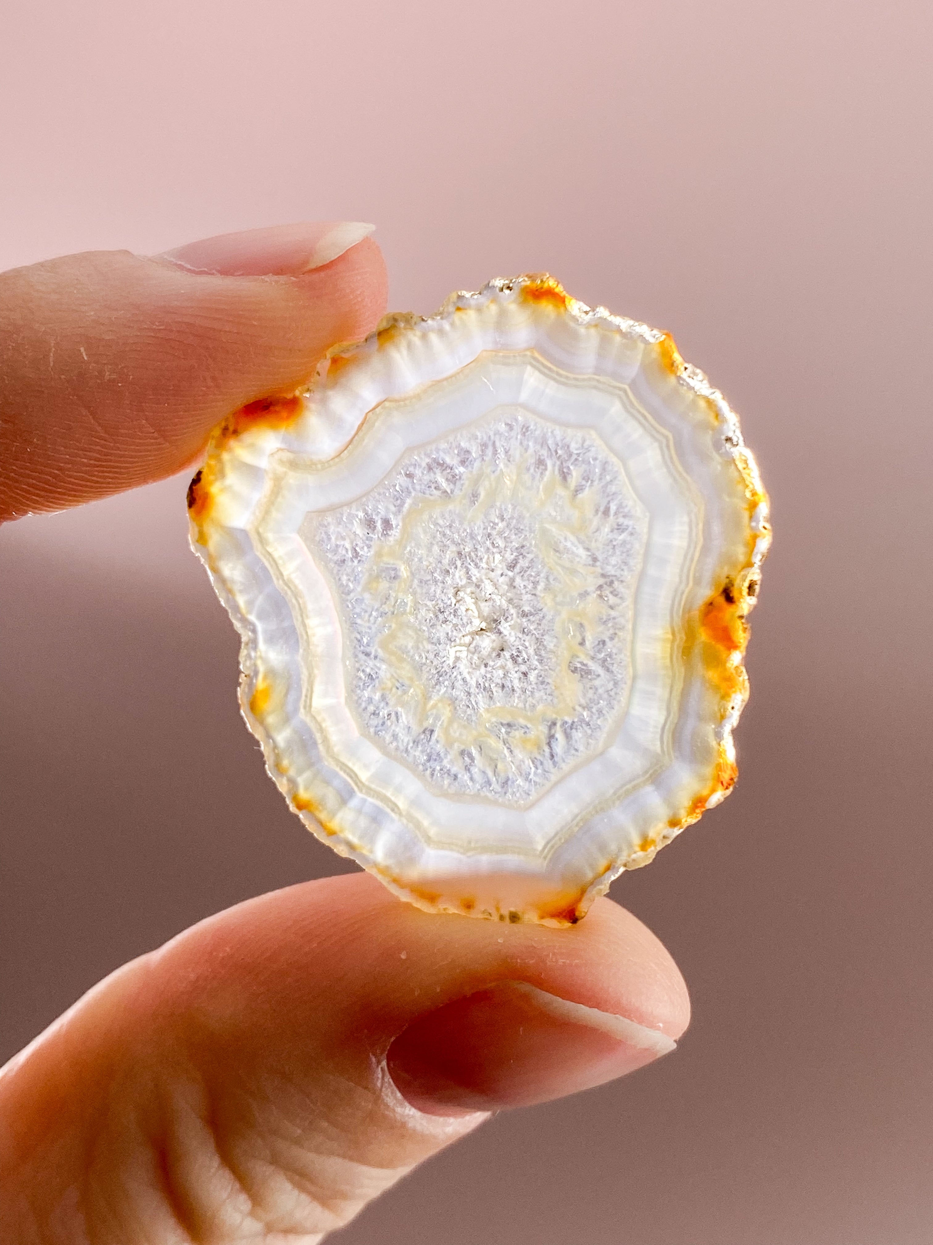 Iris Agatskiva (nr 37)