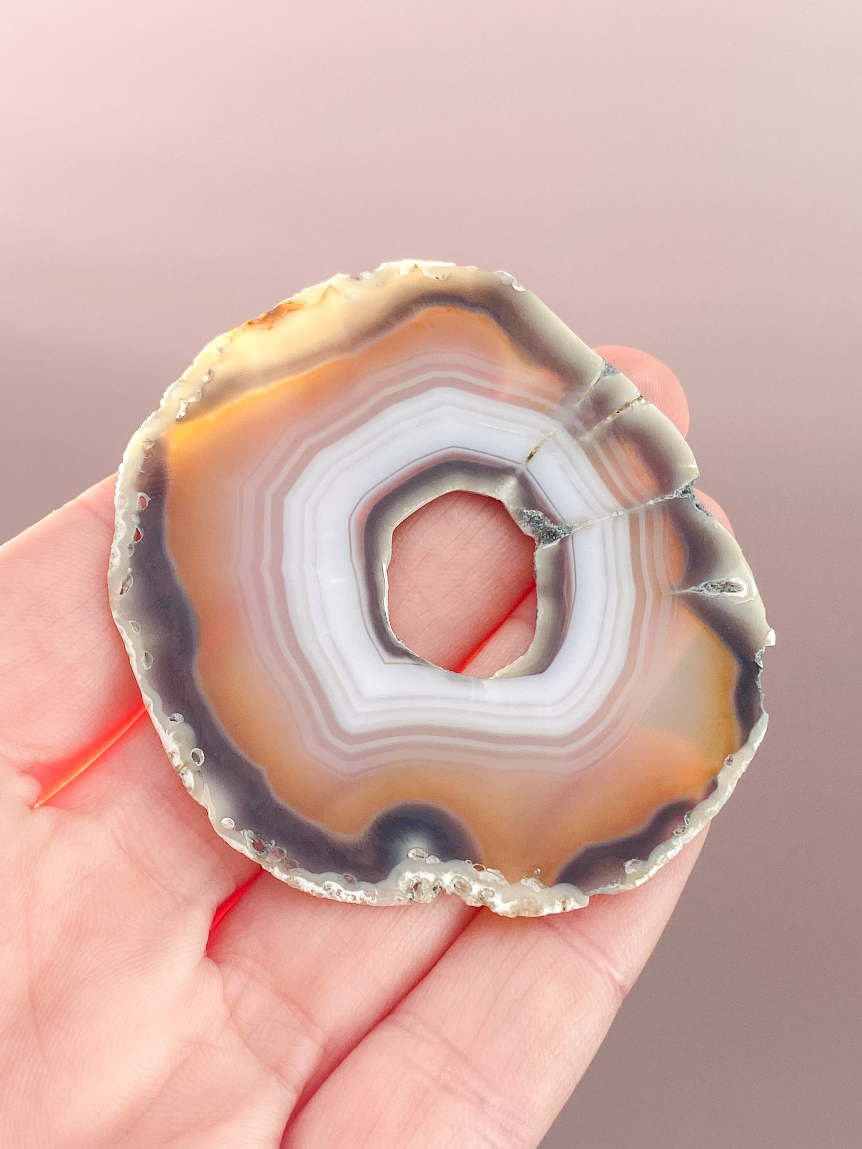 Iris Agatskiva (nr 41)