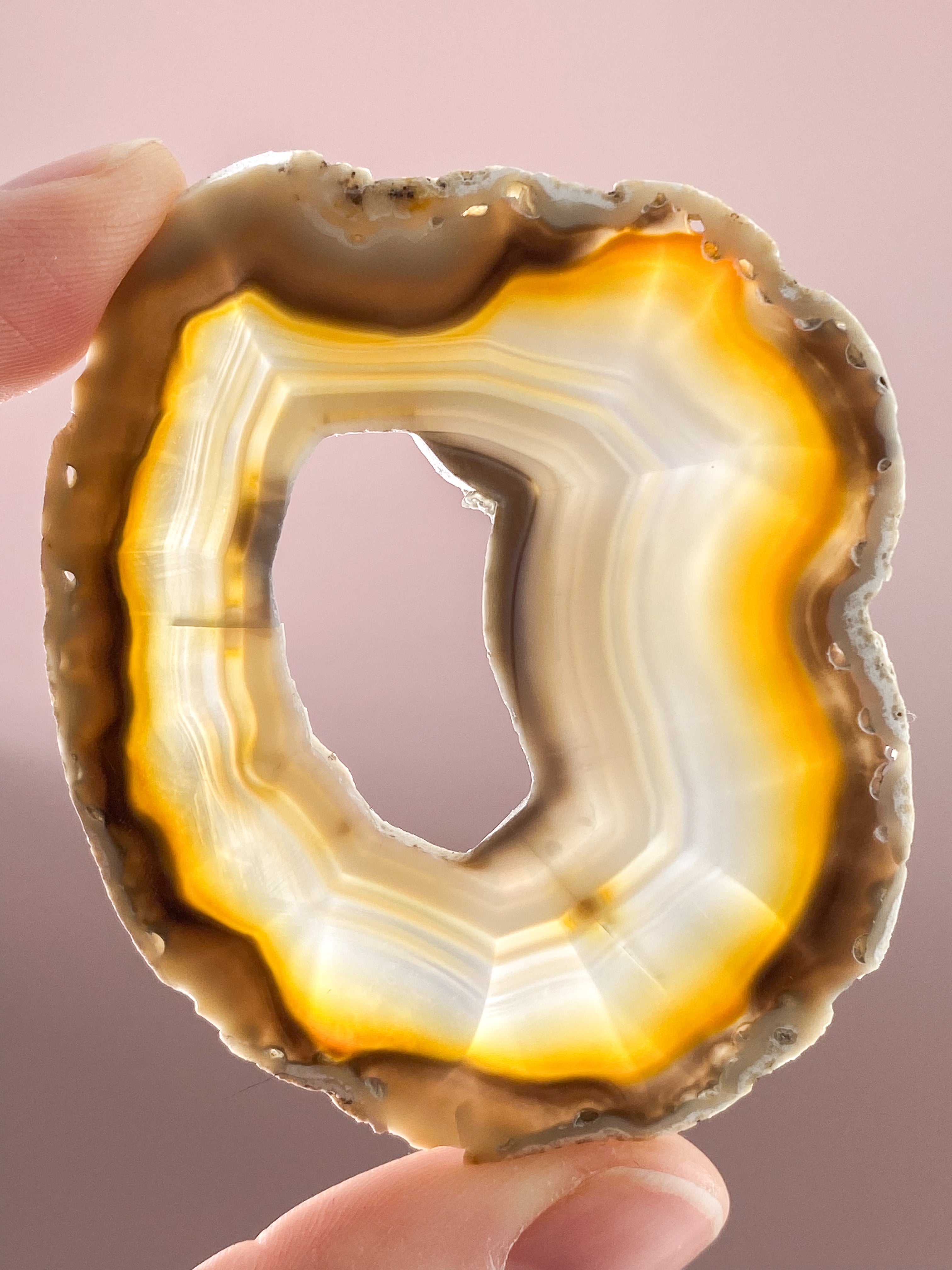 Iris Agatskiva (nr 42)