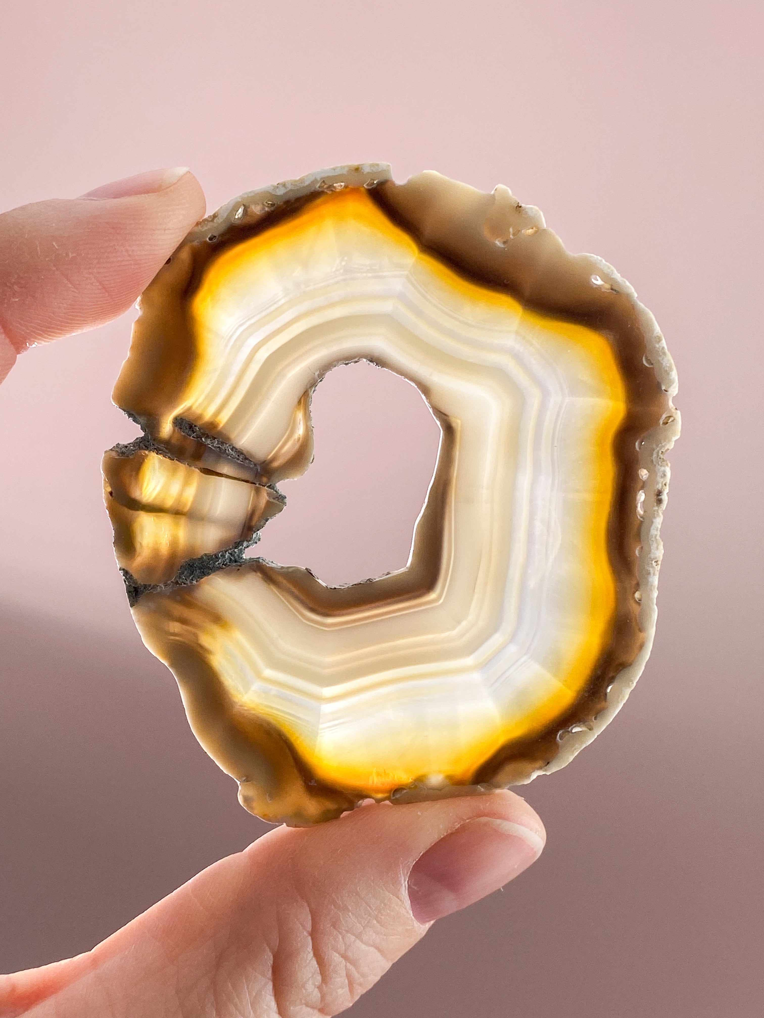 Iris Agatskiva (nr 43)