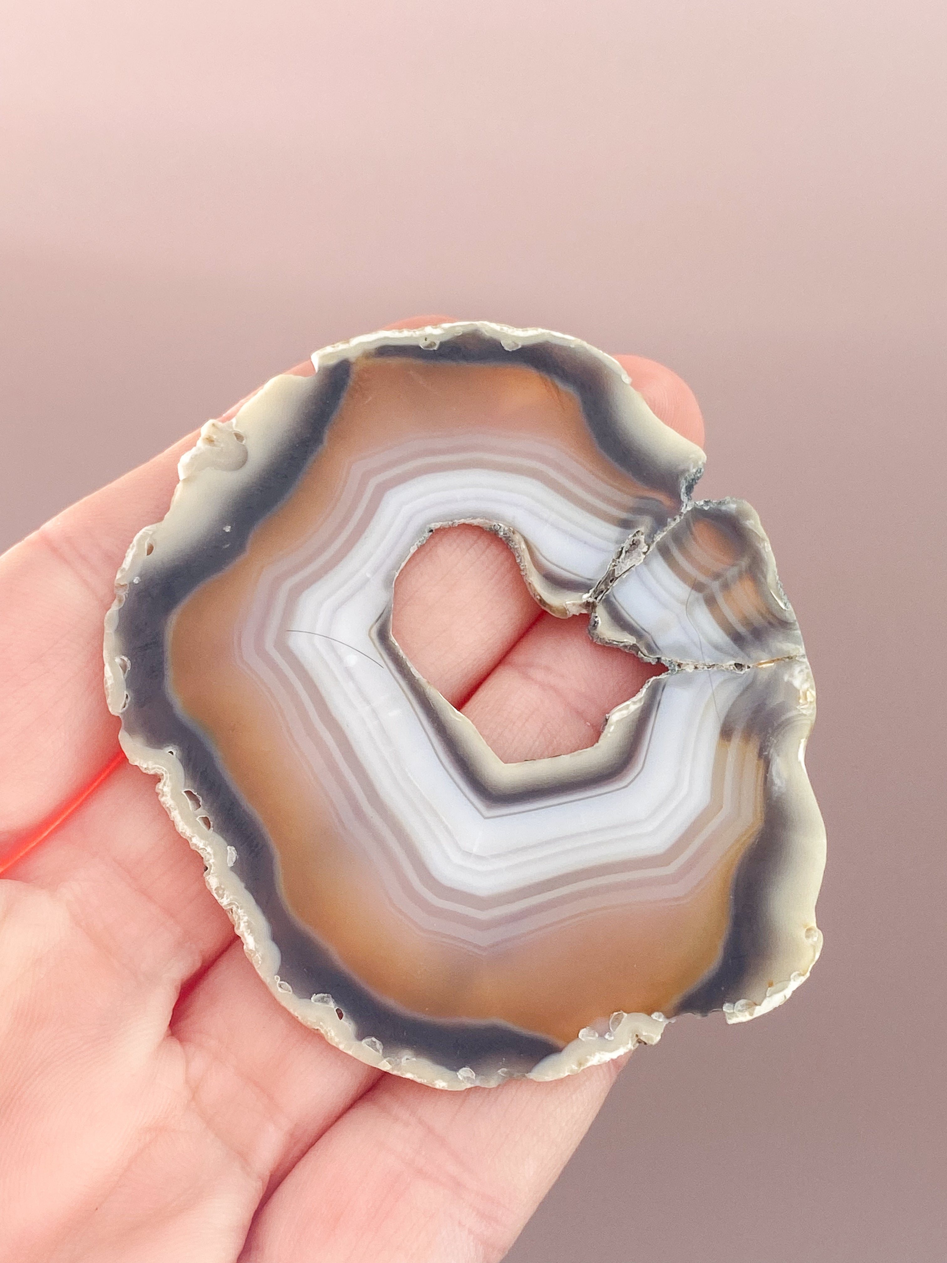 Iris Agatskiva (nr 43)