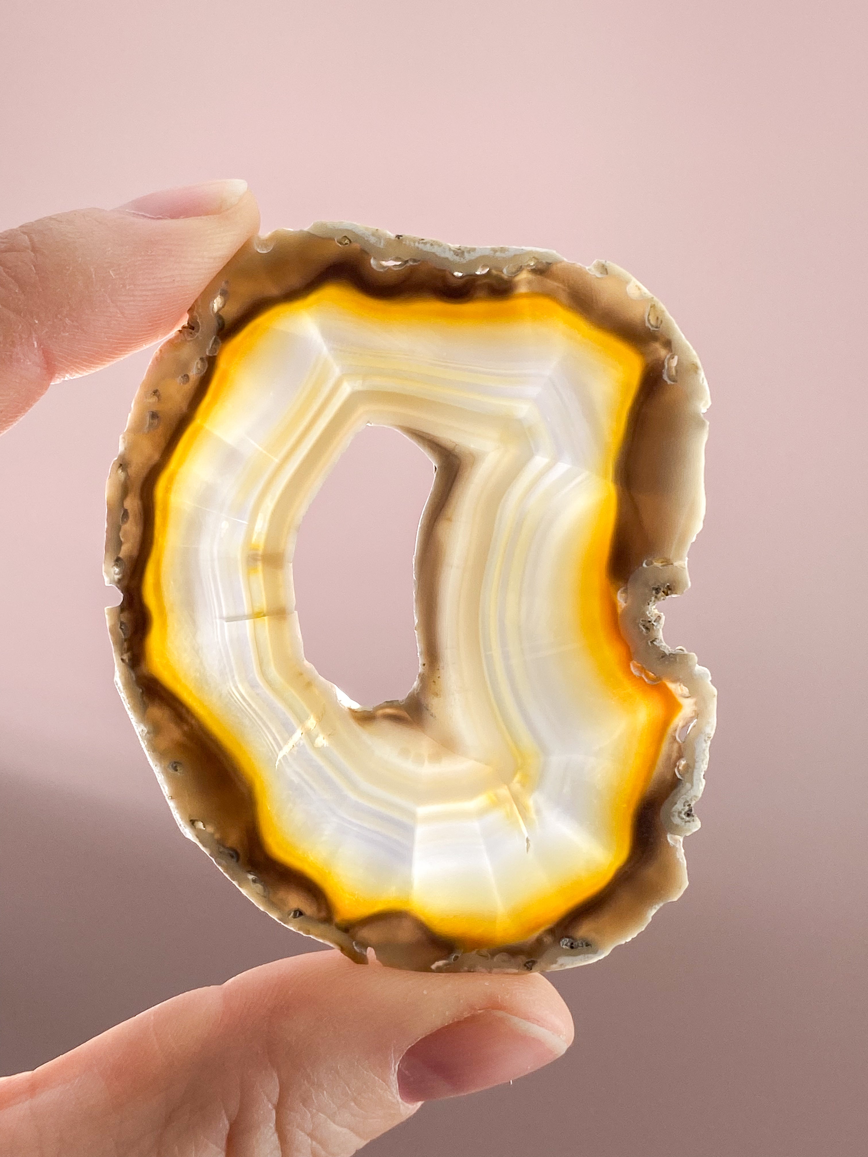 Iris Agatskiva (nr 44)