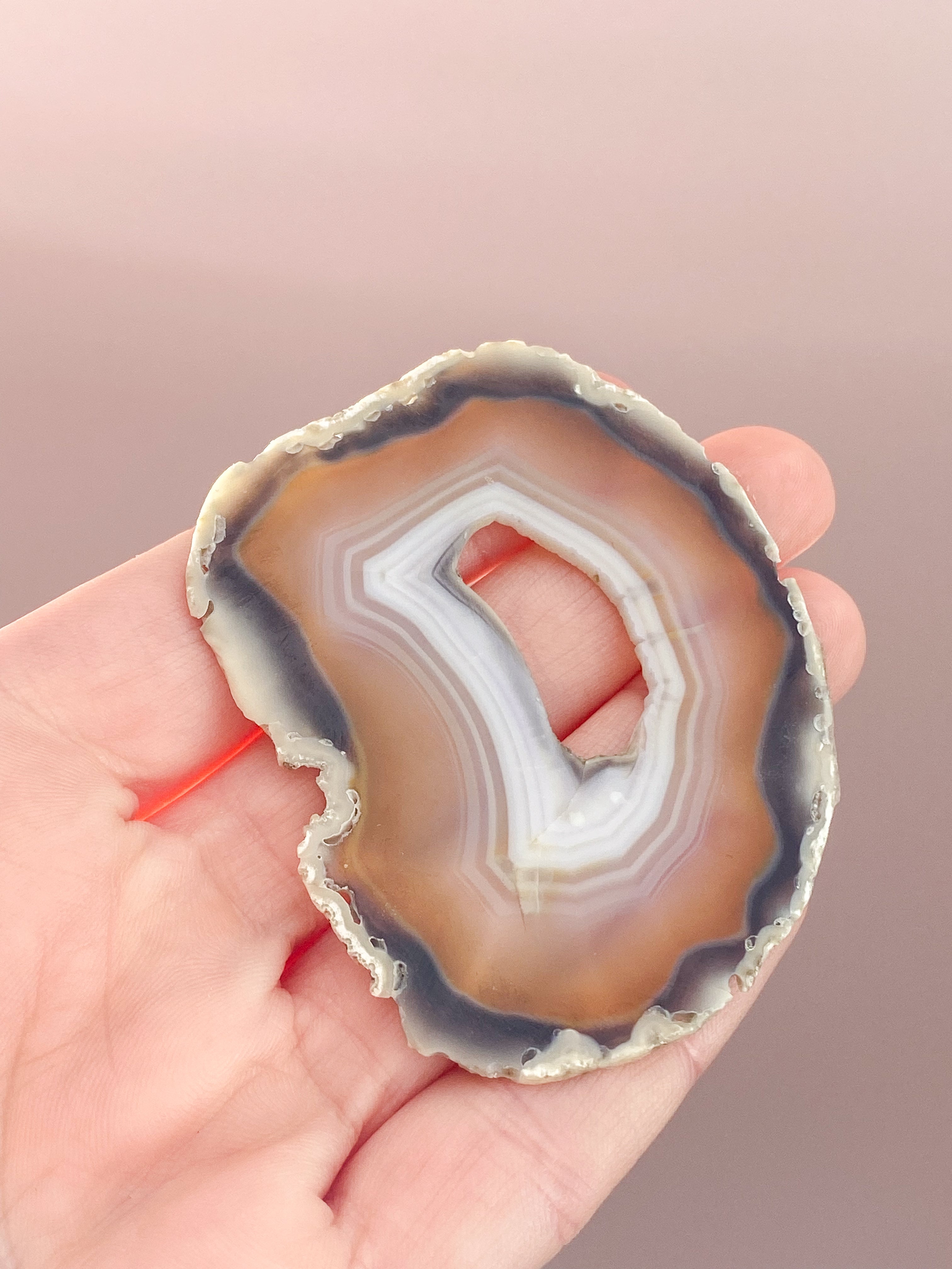 Iris Agatskiva (nr 44)