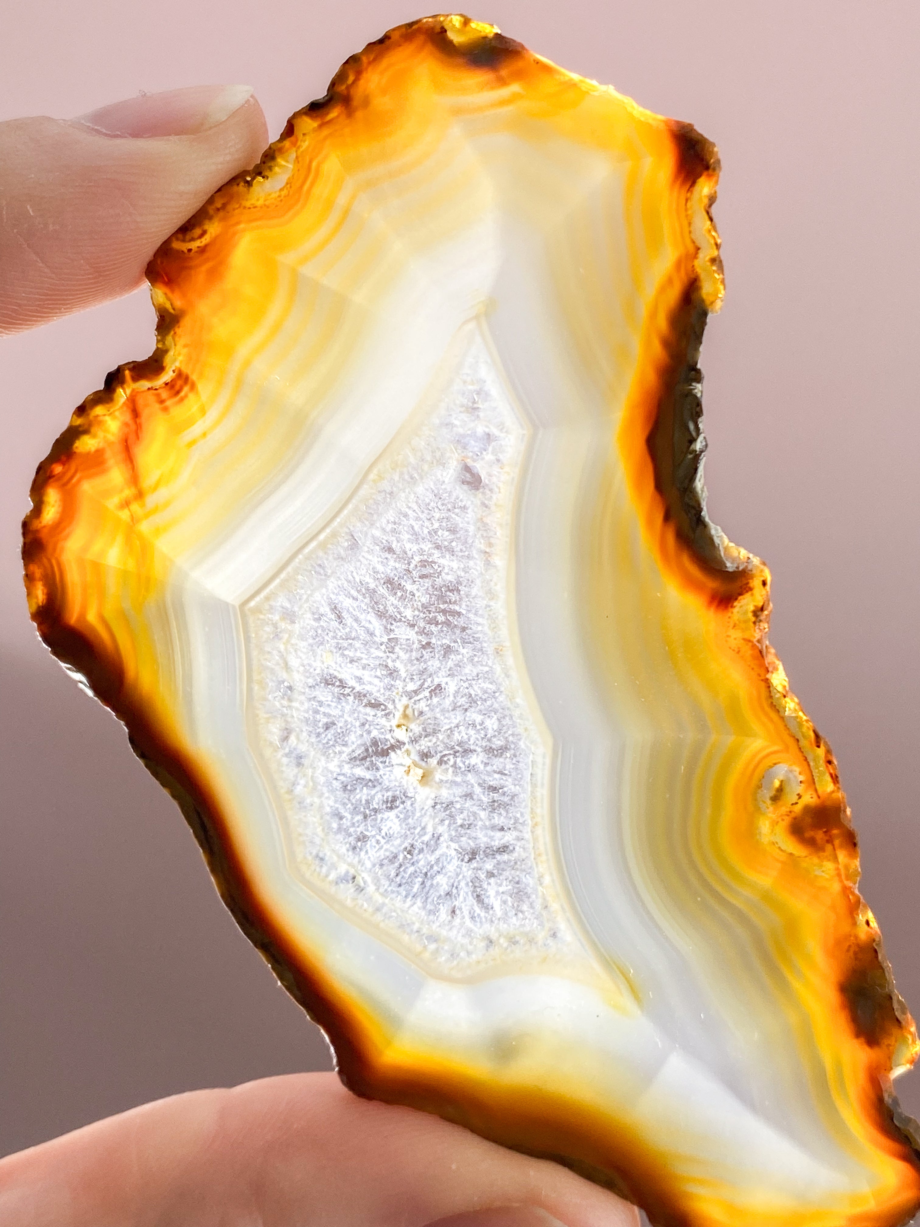 Iris Agatskiva (nr 46)