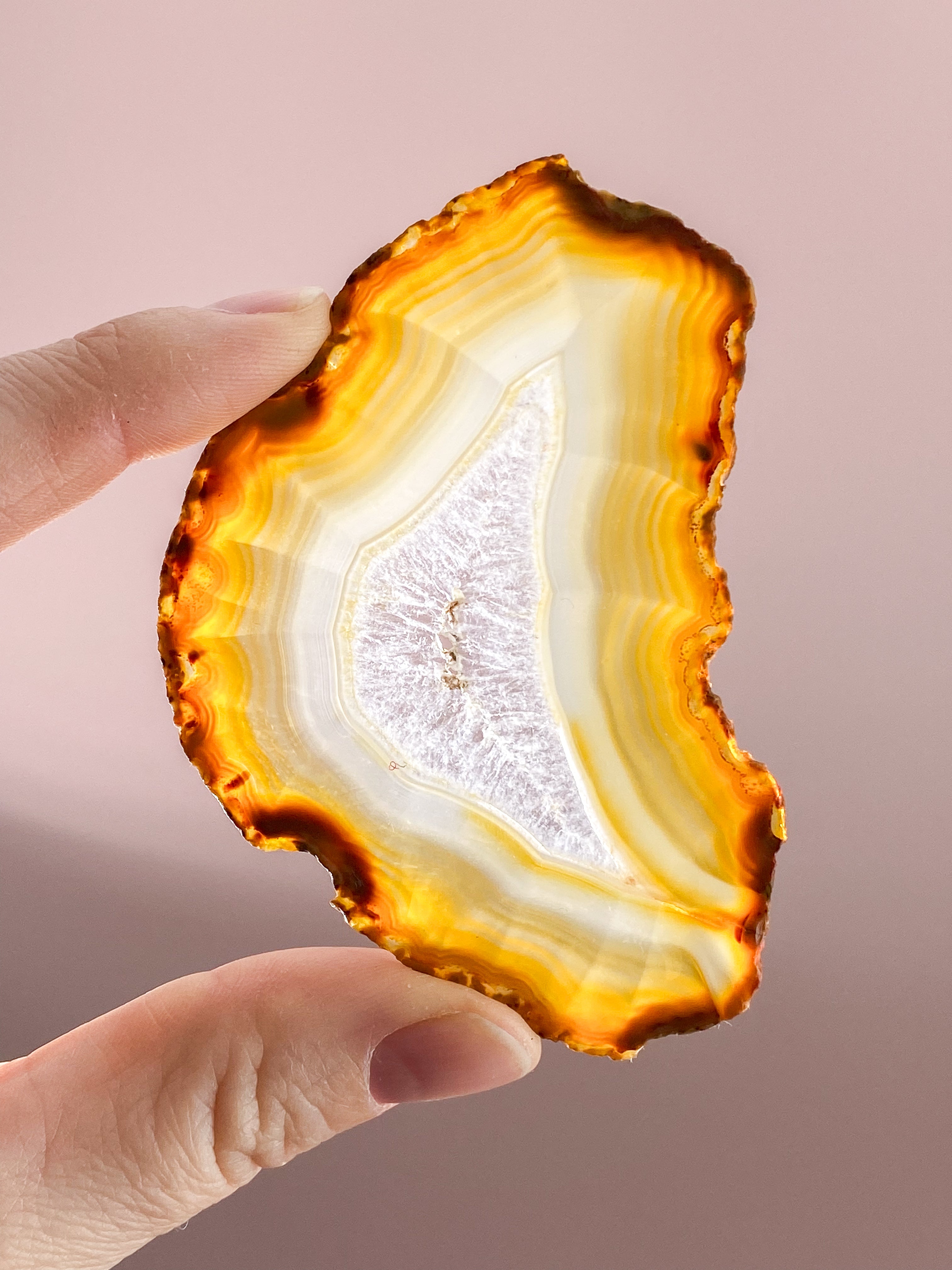 Iris Agatskiva (nr 49)