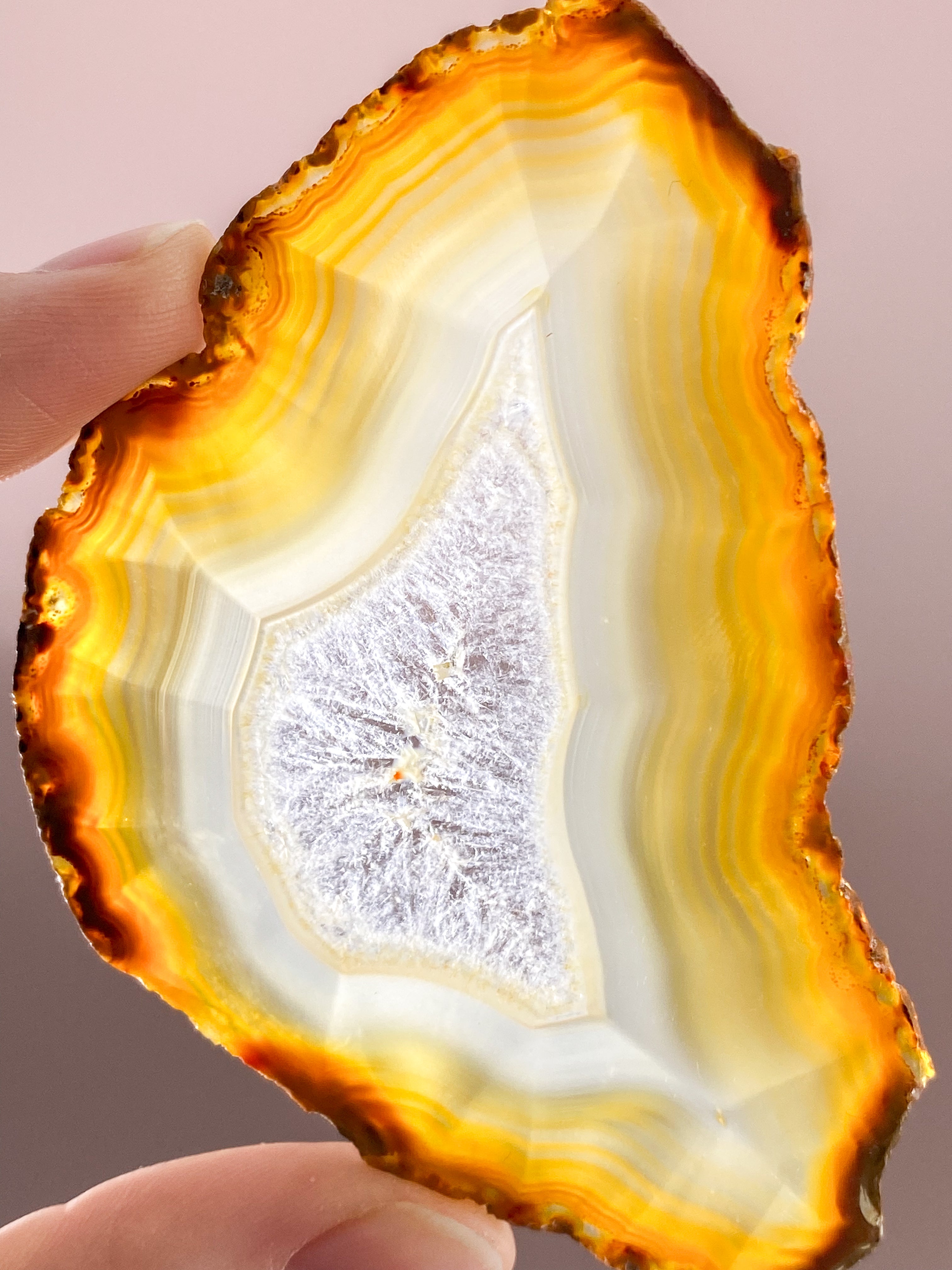 Iris Agatskiva (nr 50)