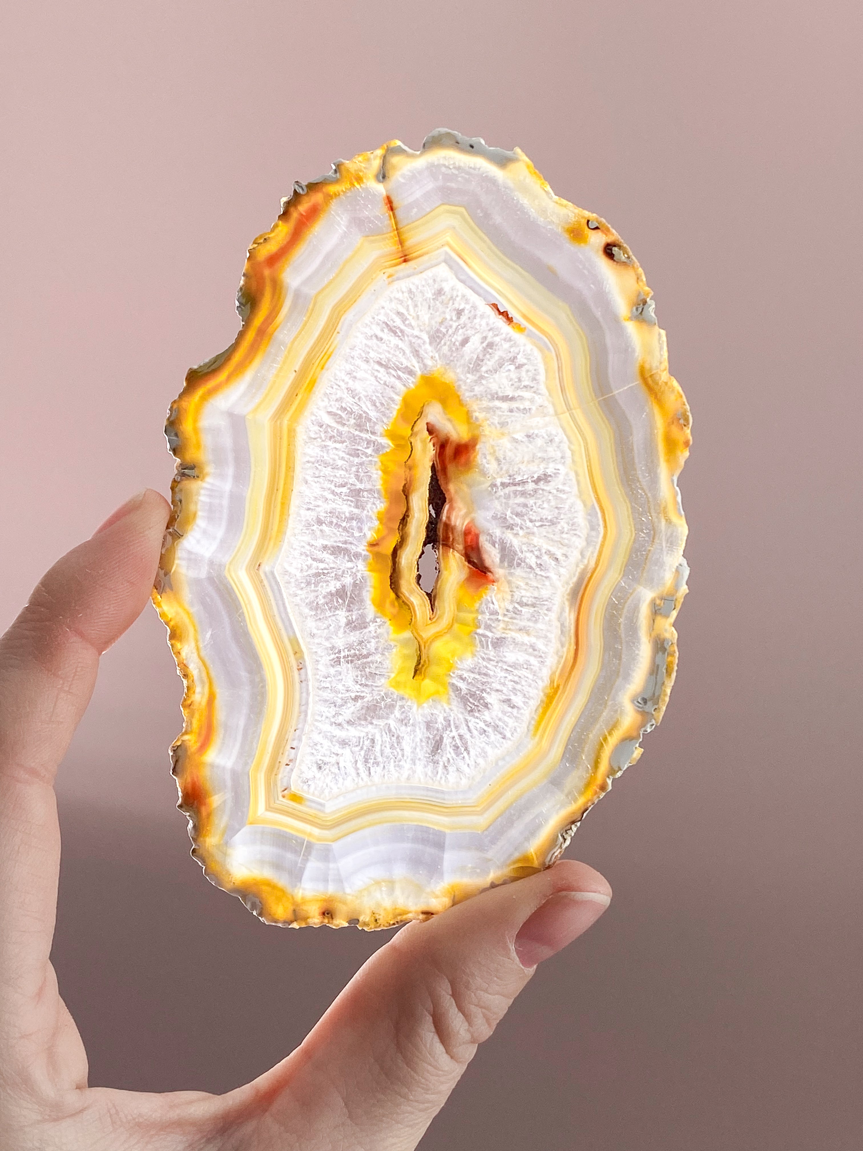 Iris Agatskiva (nr 54)