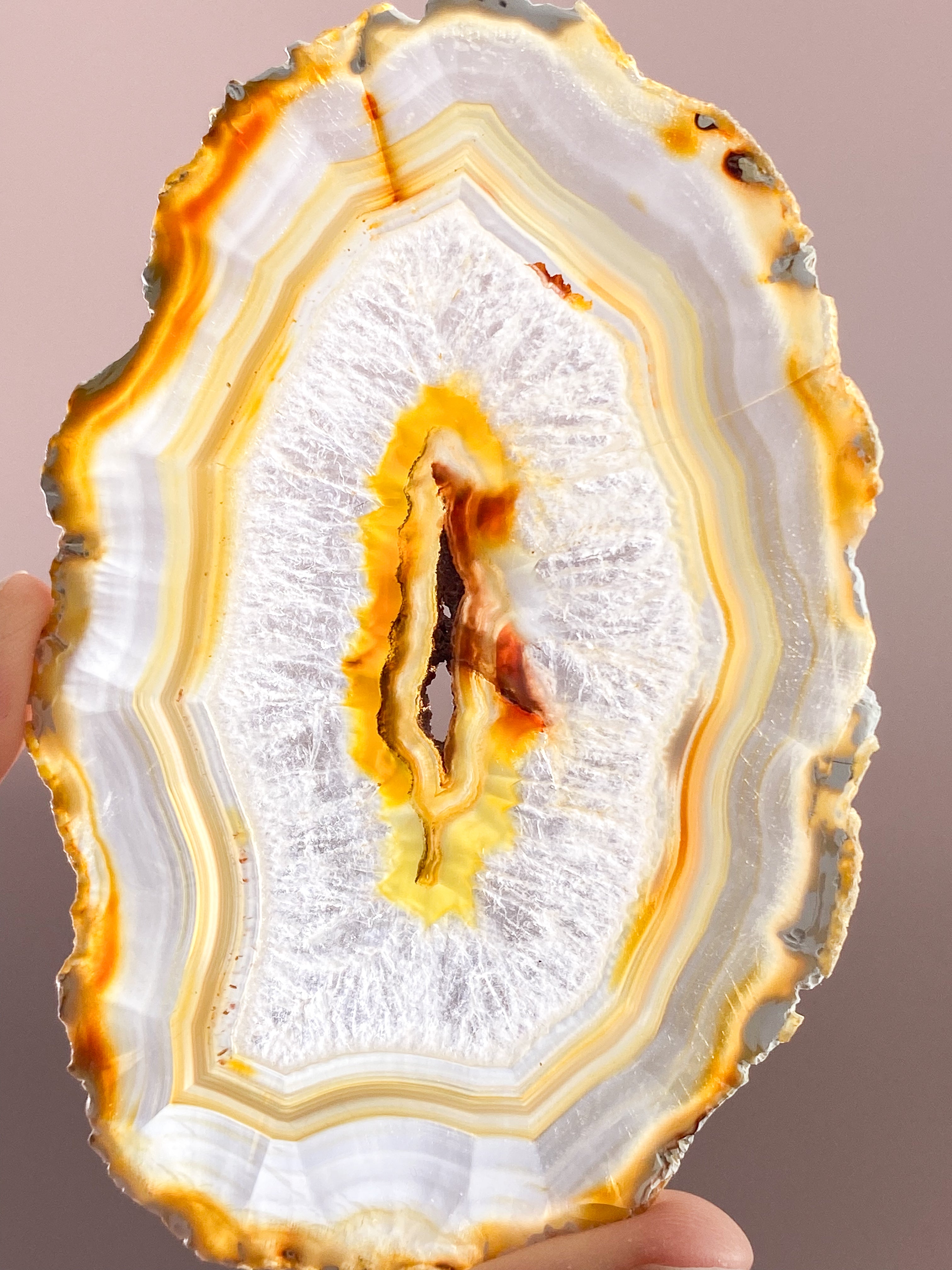 Iris Agatskiva (nr 54)