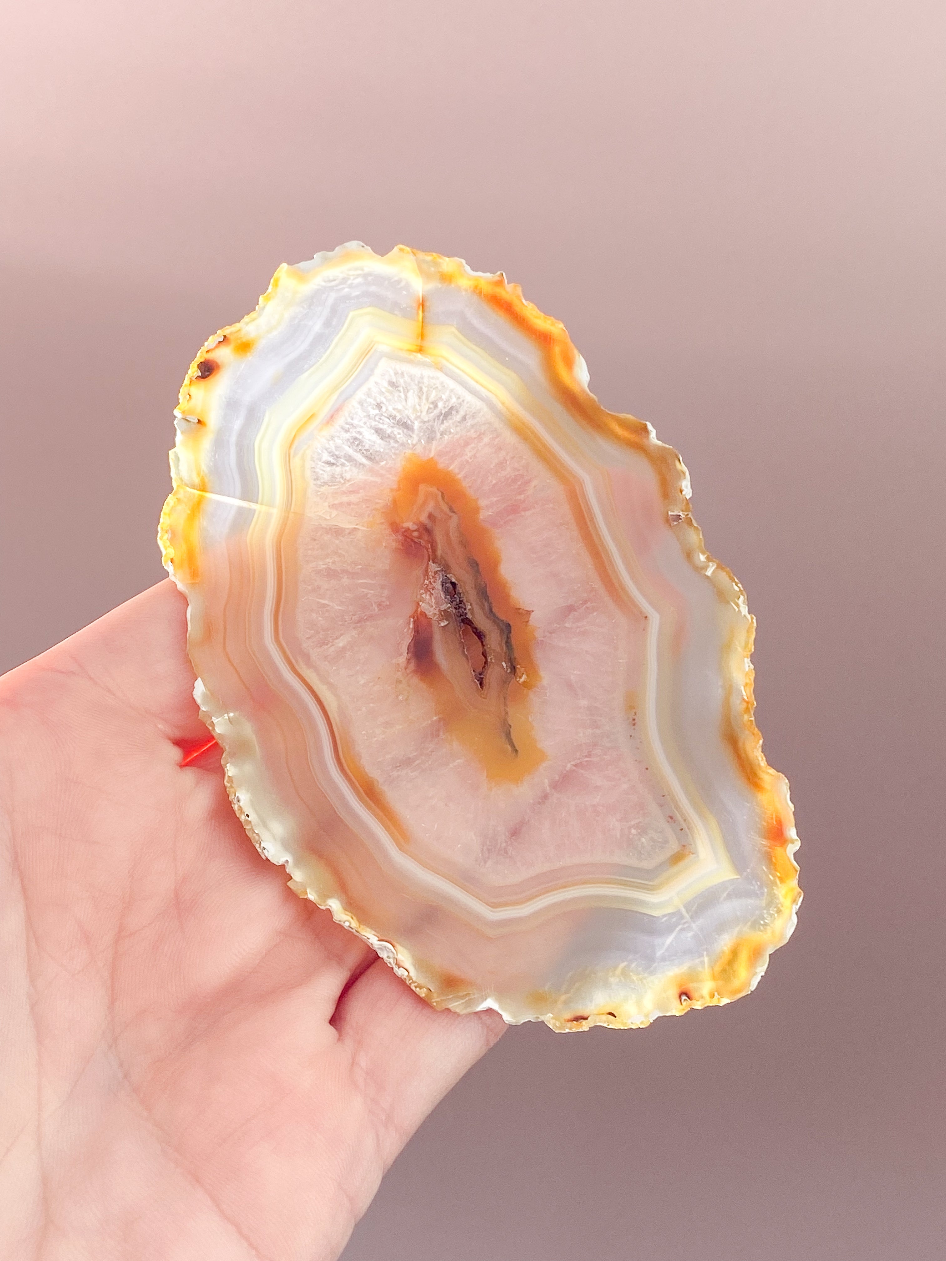 Iris Agatskiva (nr 54)