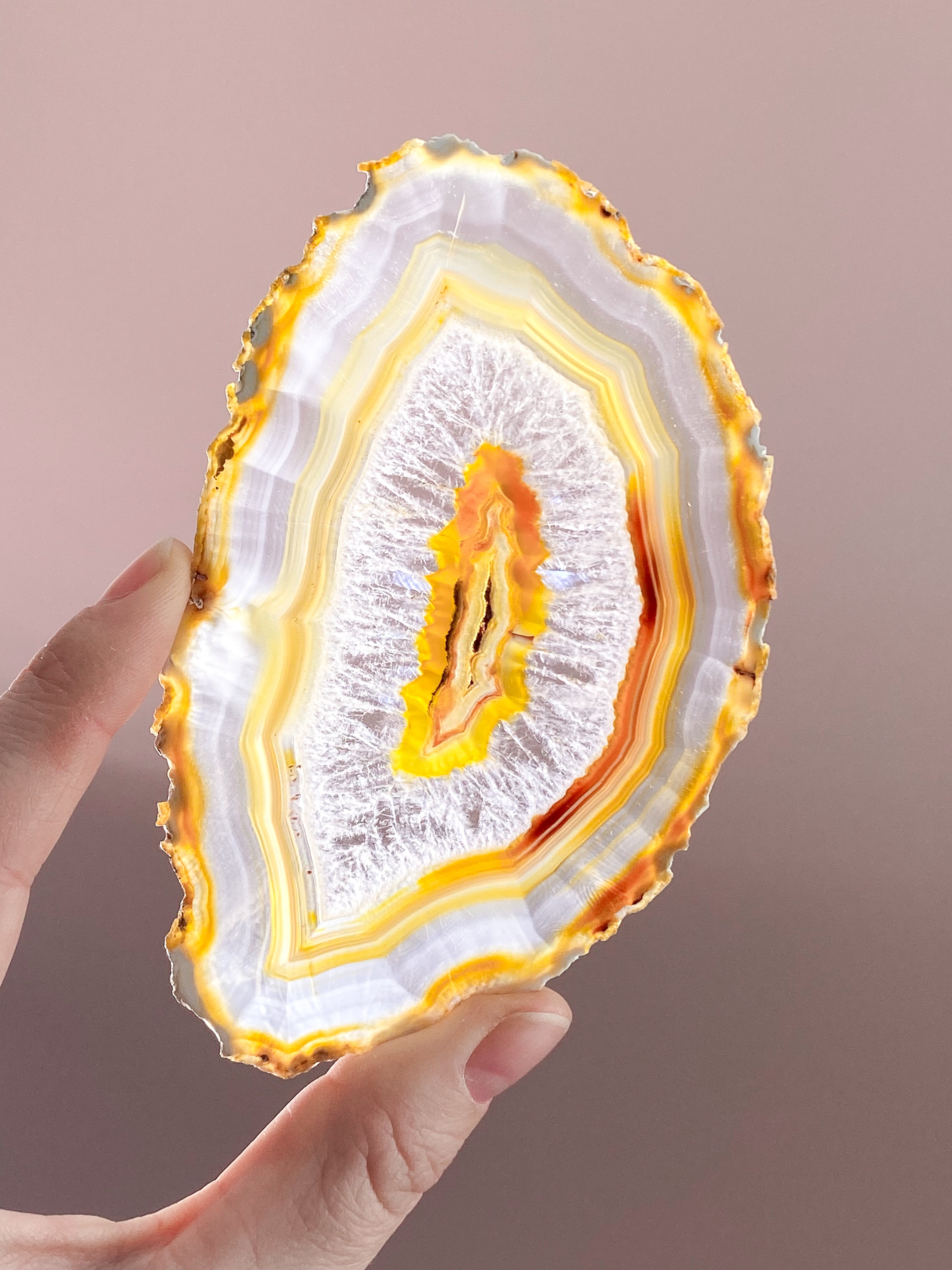 Iris Agatskiva (nr 53)