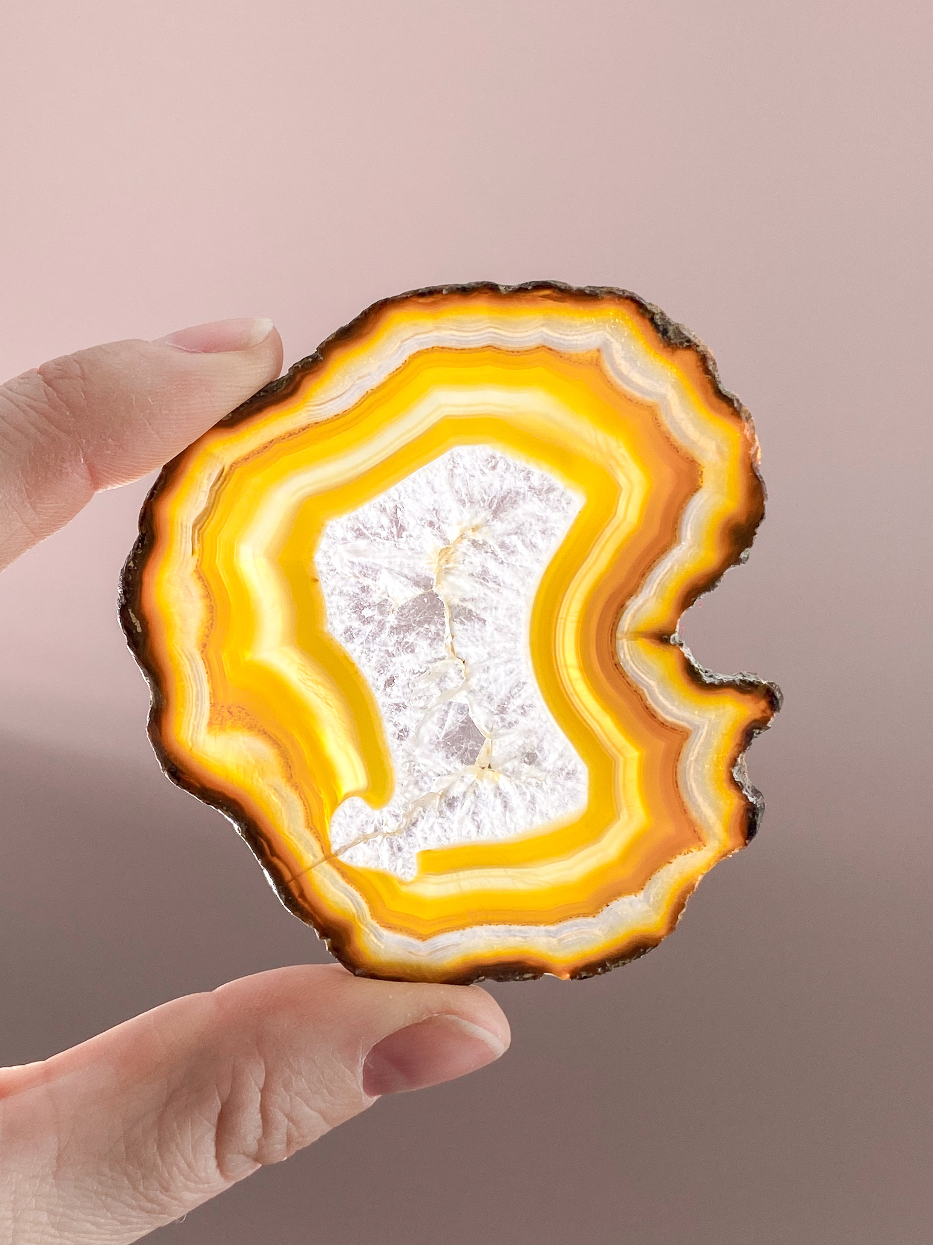 Iris Agatskiva (nr 56)