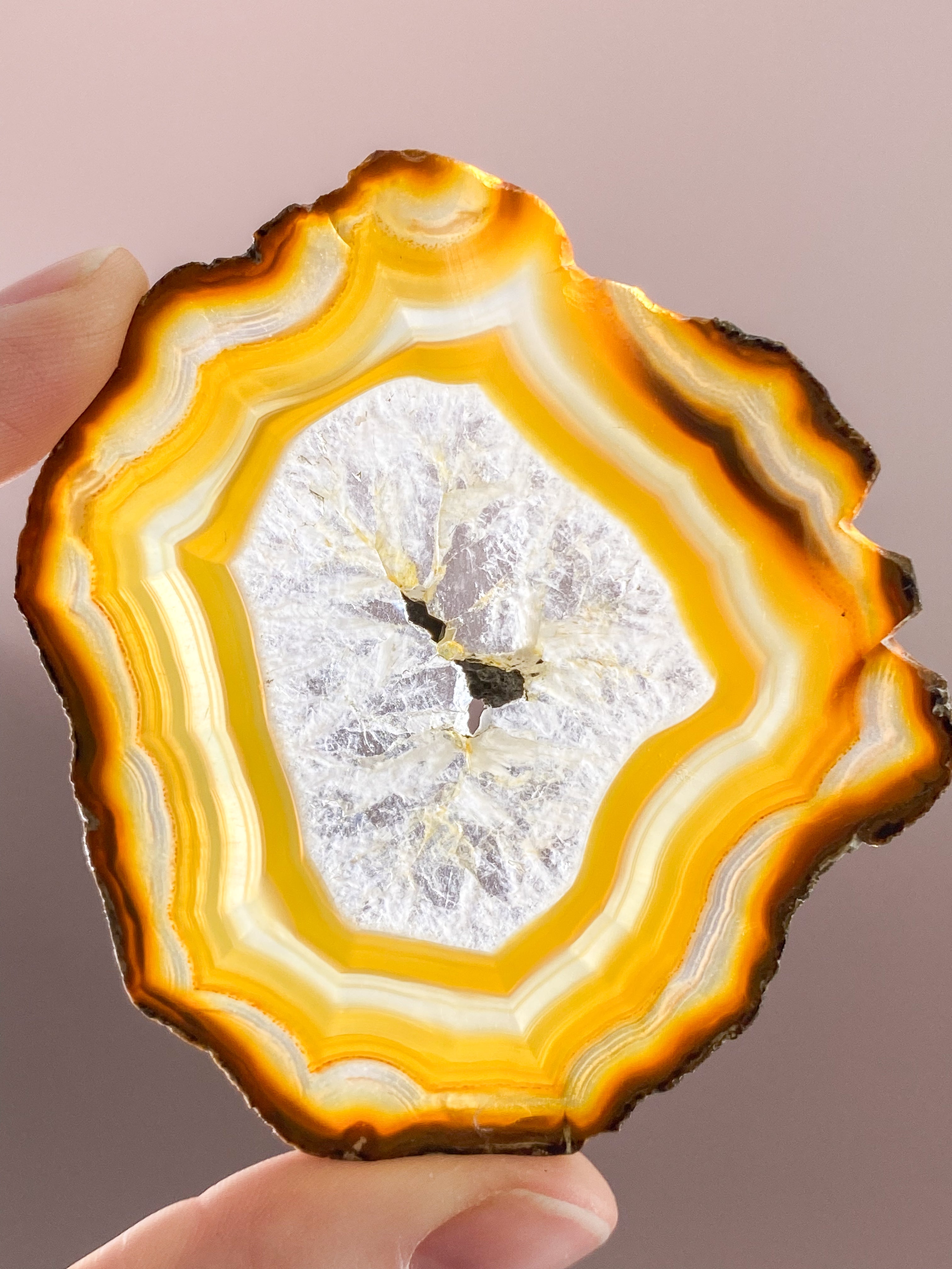 Iris Agatskiva (nr 58)