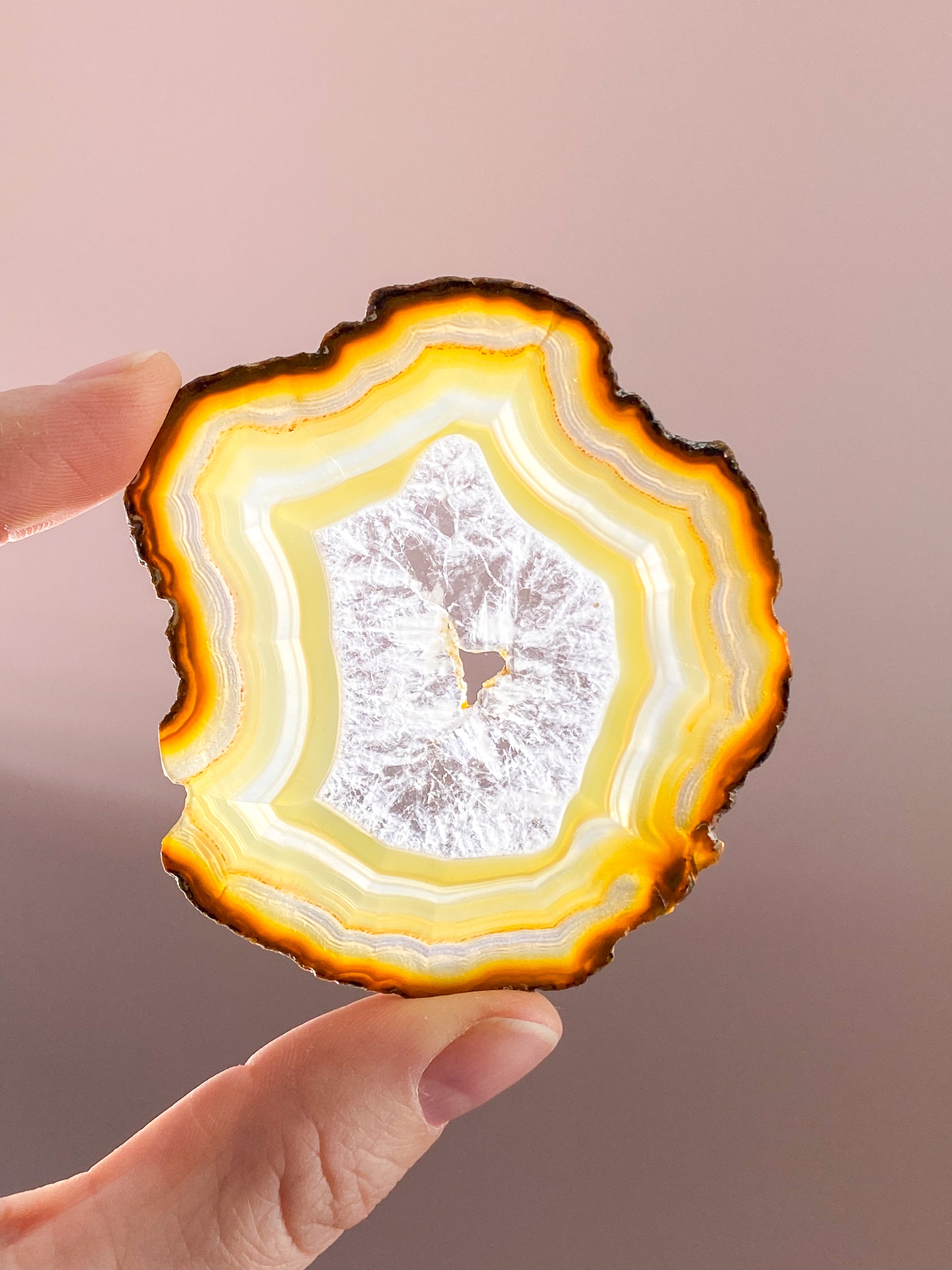 Iris Agatskiva (nr 59)