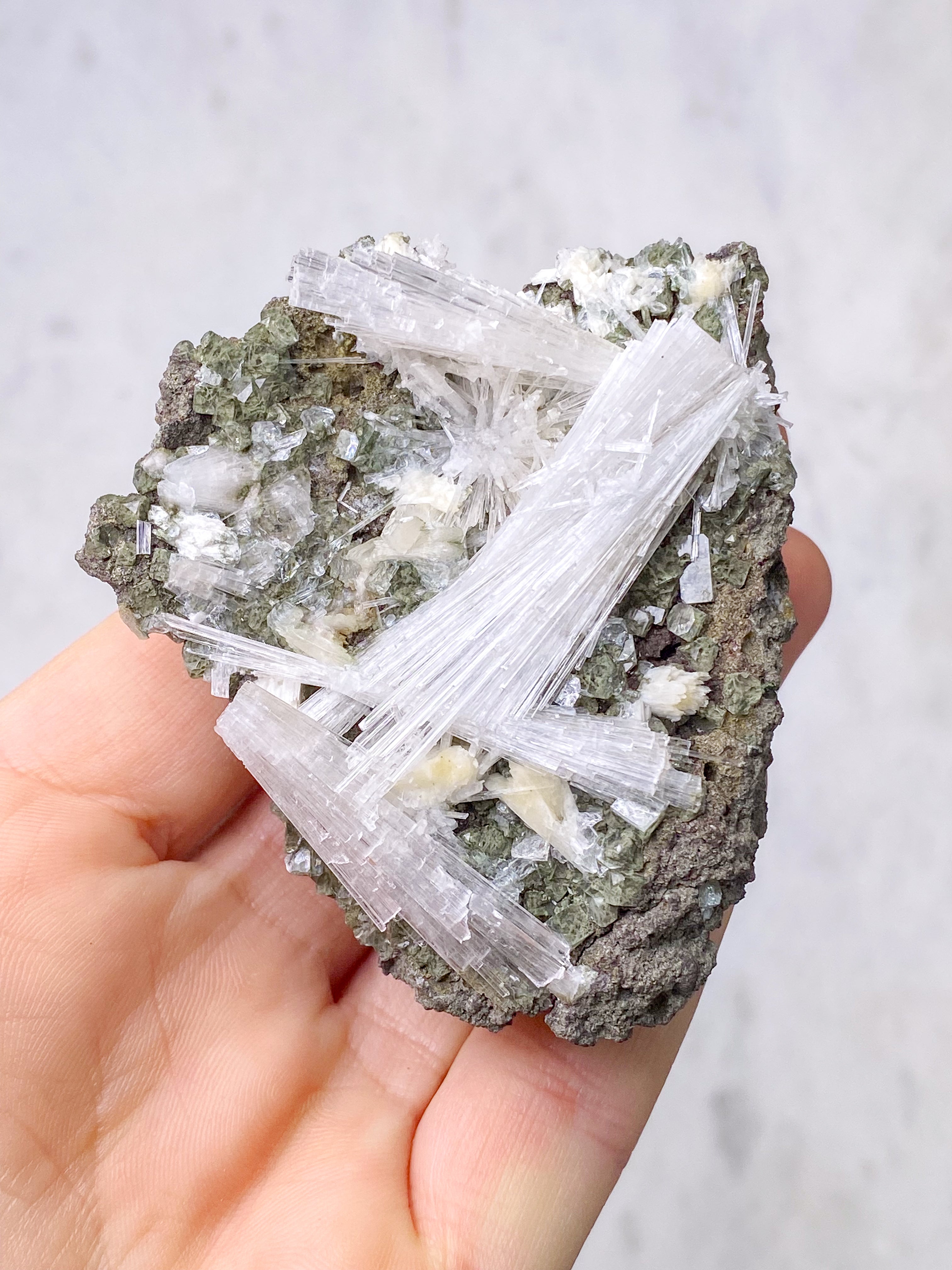 Skolesitkluster (nr 10)