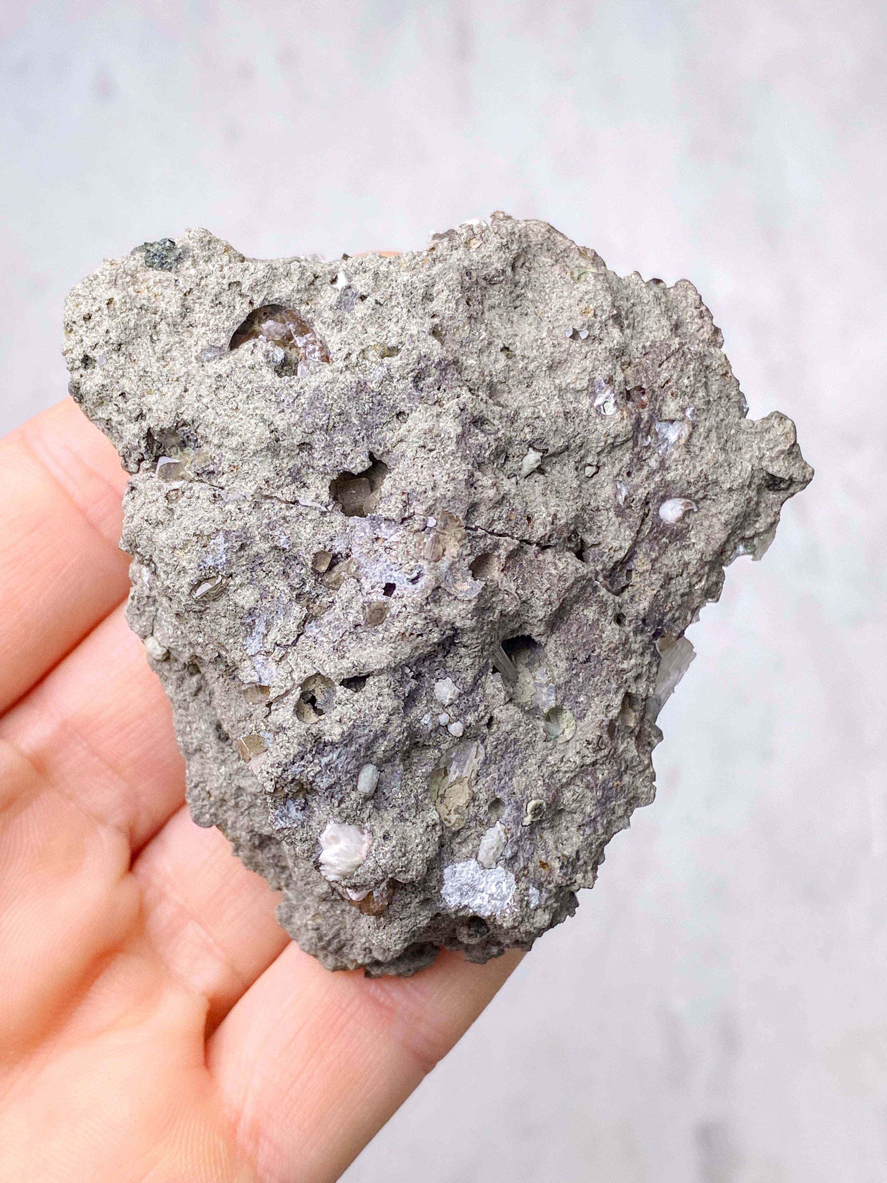 Skolesitkluster (nr 10)