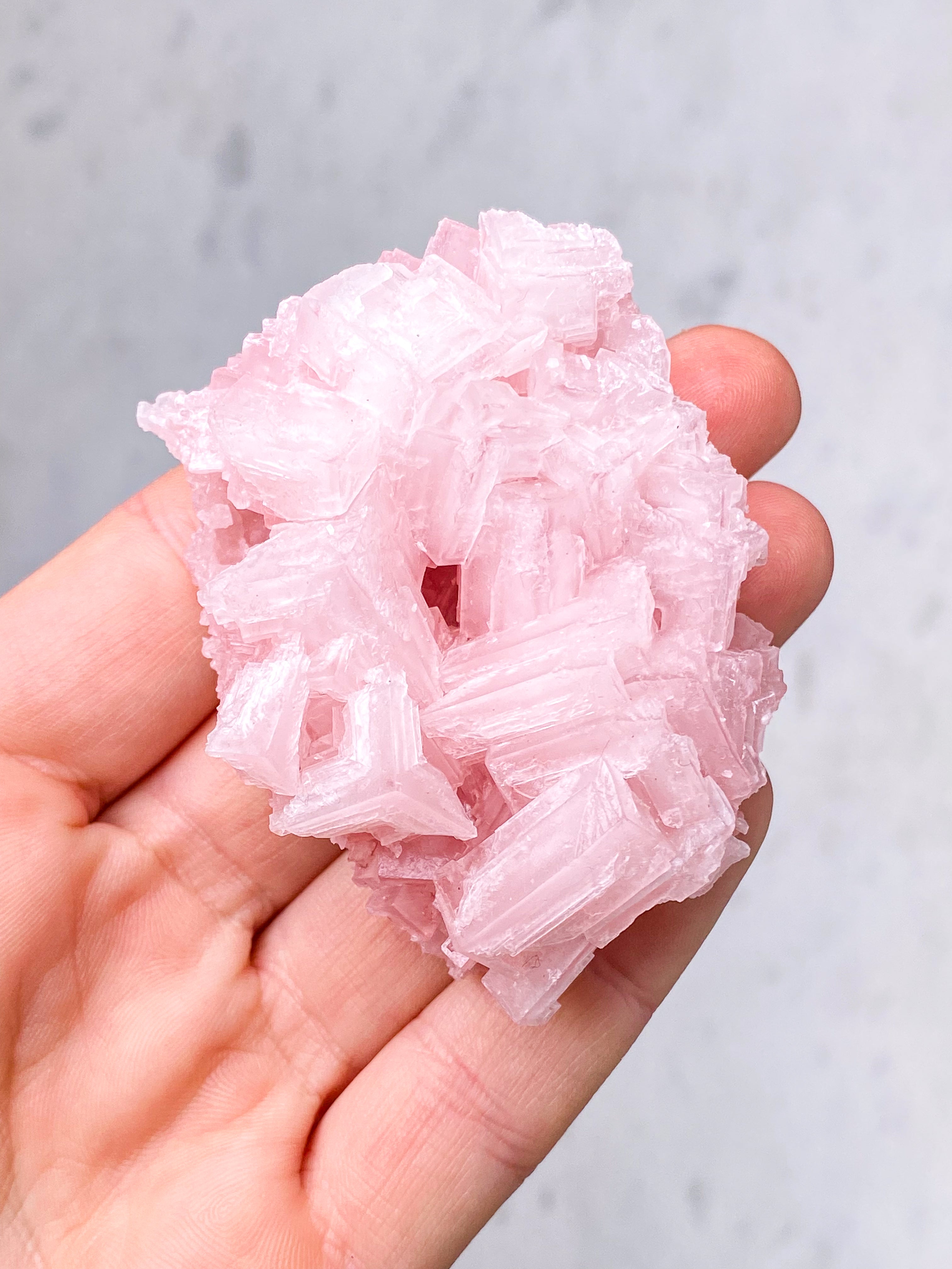 Mørk Pink Halit (Nr. 7) Eksklusiv Kvalitet