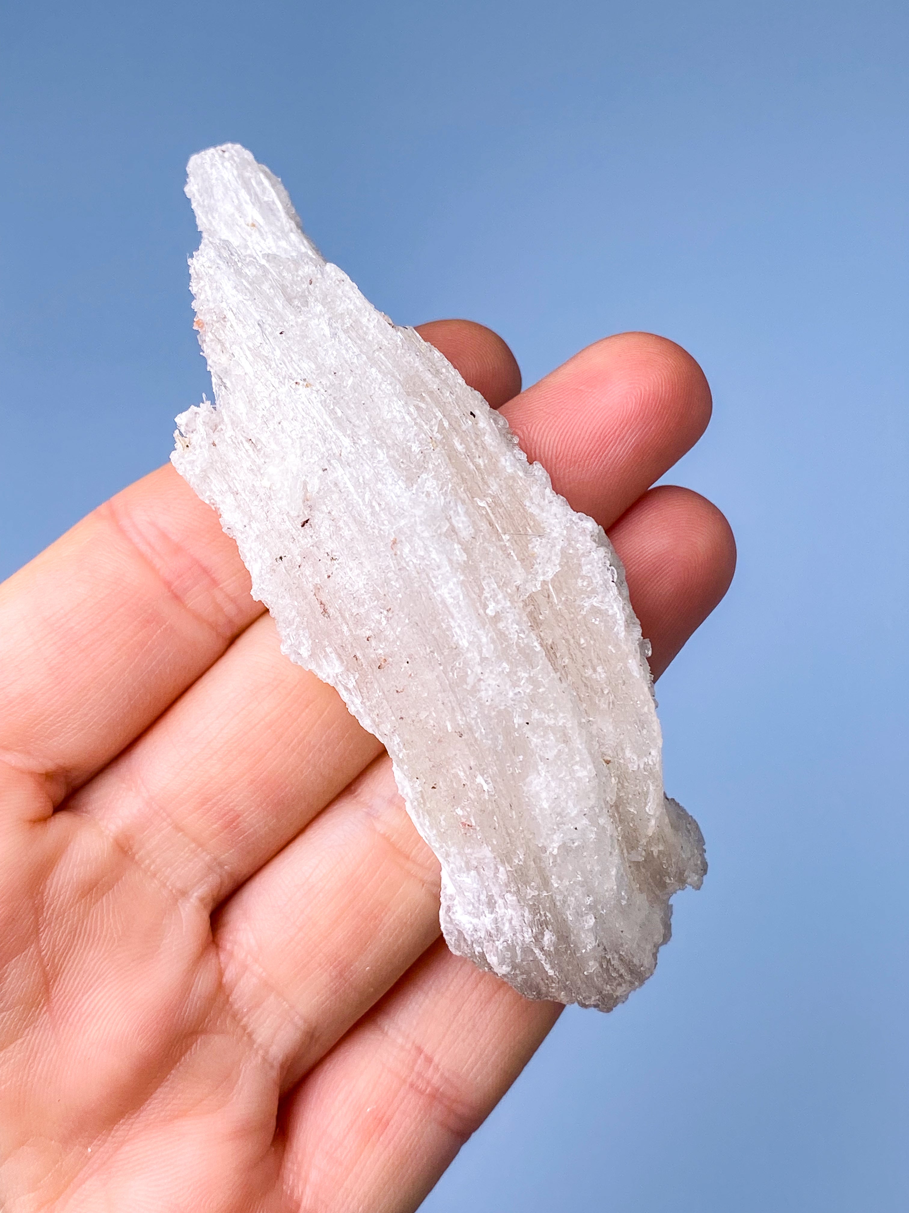 Vädurshornselenit (nr 1) Exklusiv kvalitet