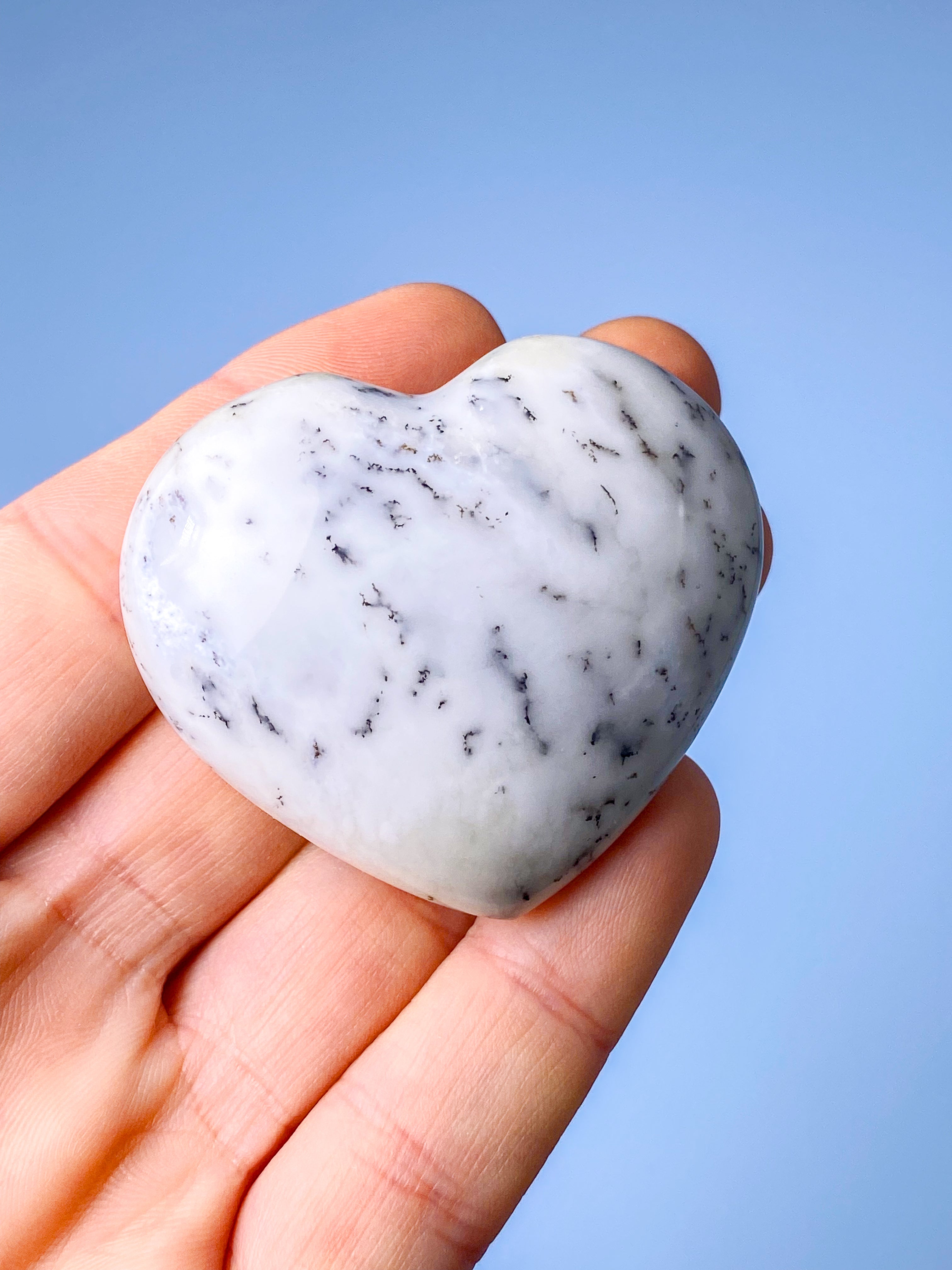 Dendrit Opal Svamp (nr 5)