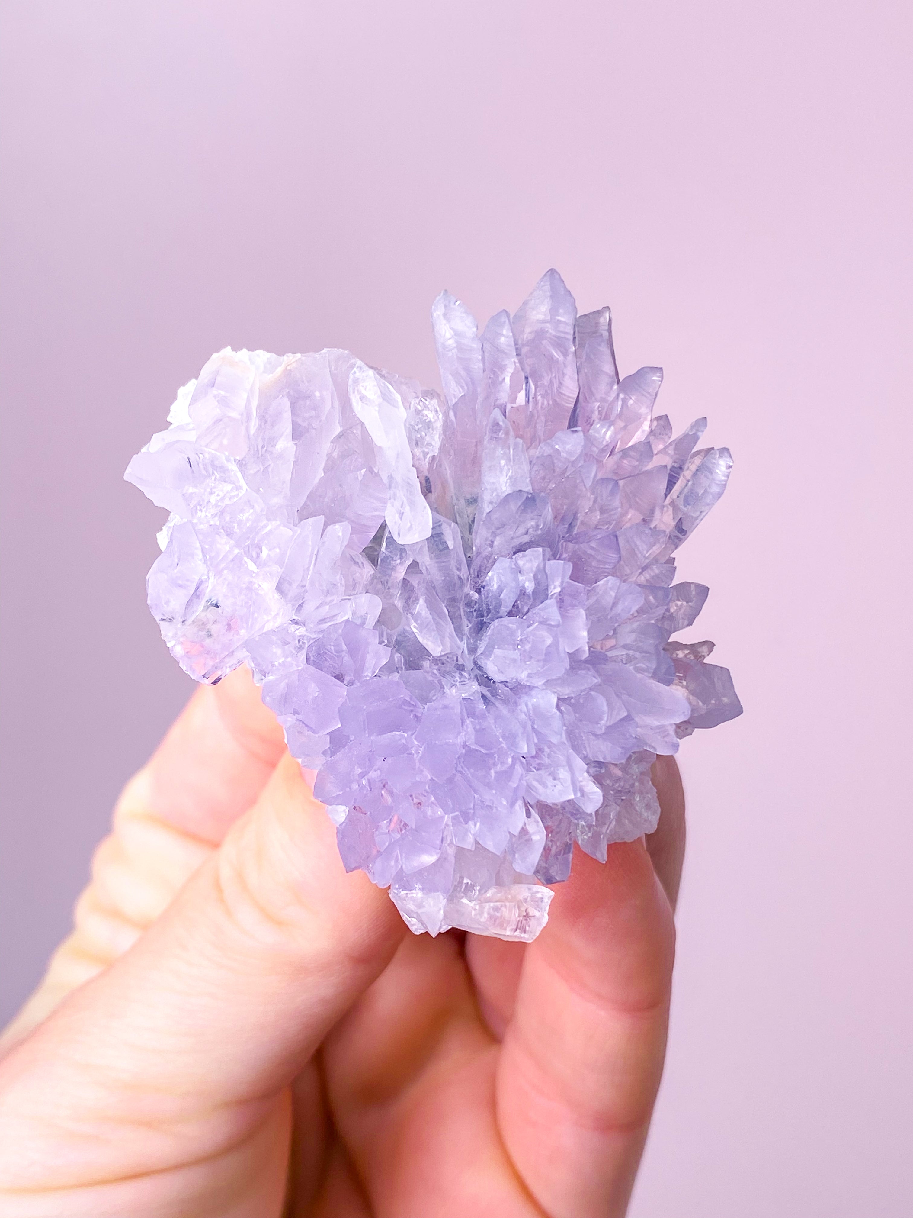 Flower Ametyst (Nr. 41) Eksklusiv Kvalitet