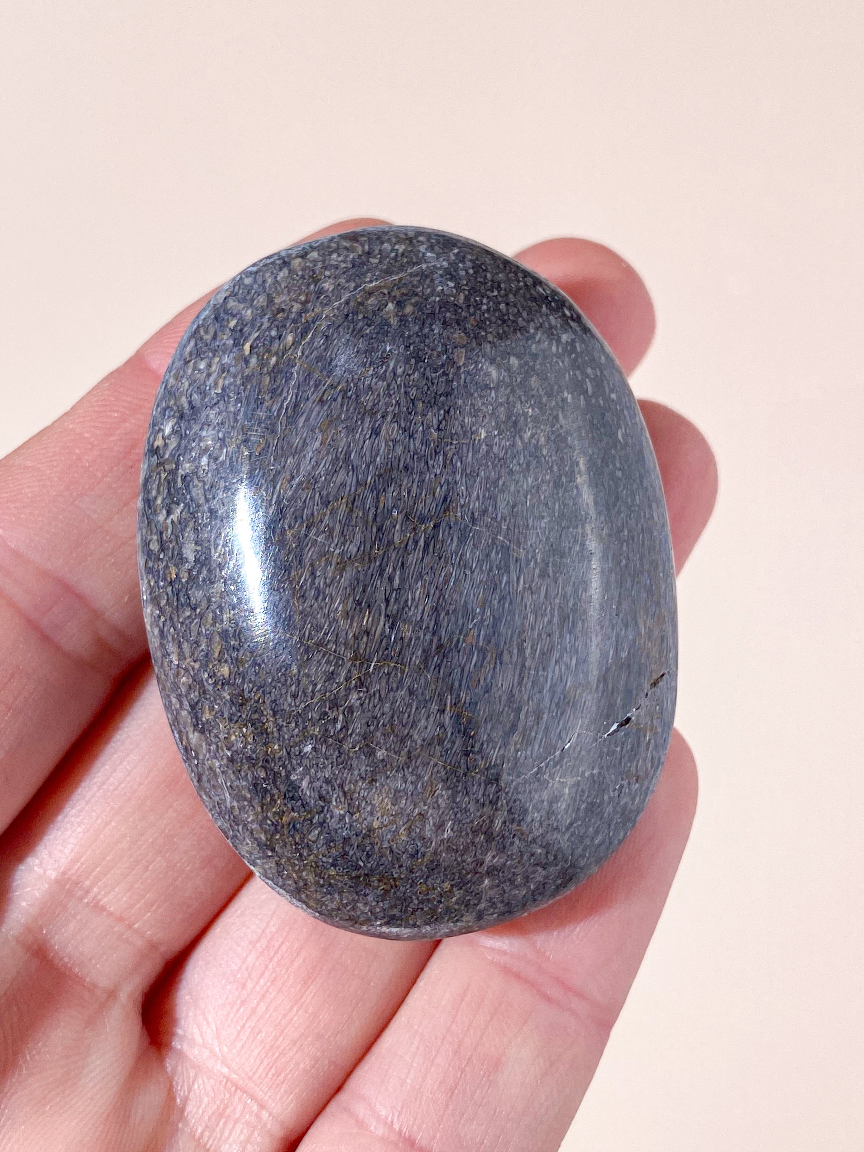 Atlasaurus Dinosaur Fossil Knogle Palmstone (Nr. 6)