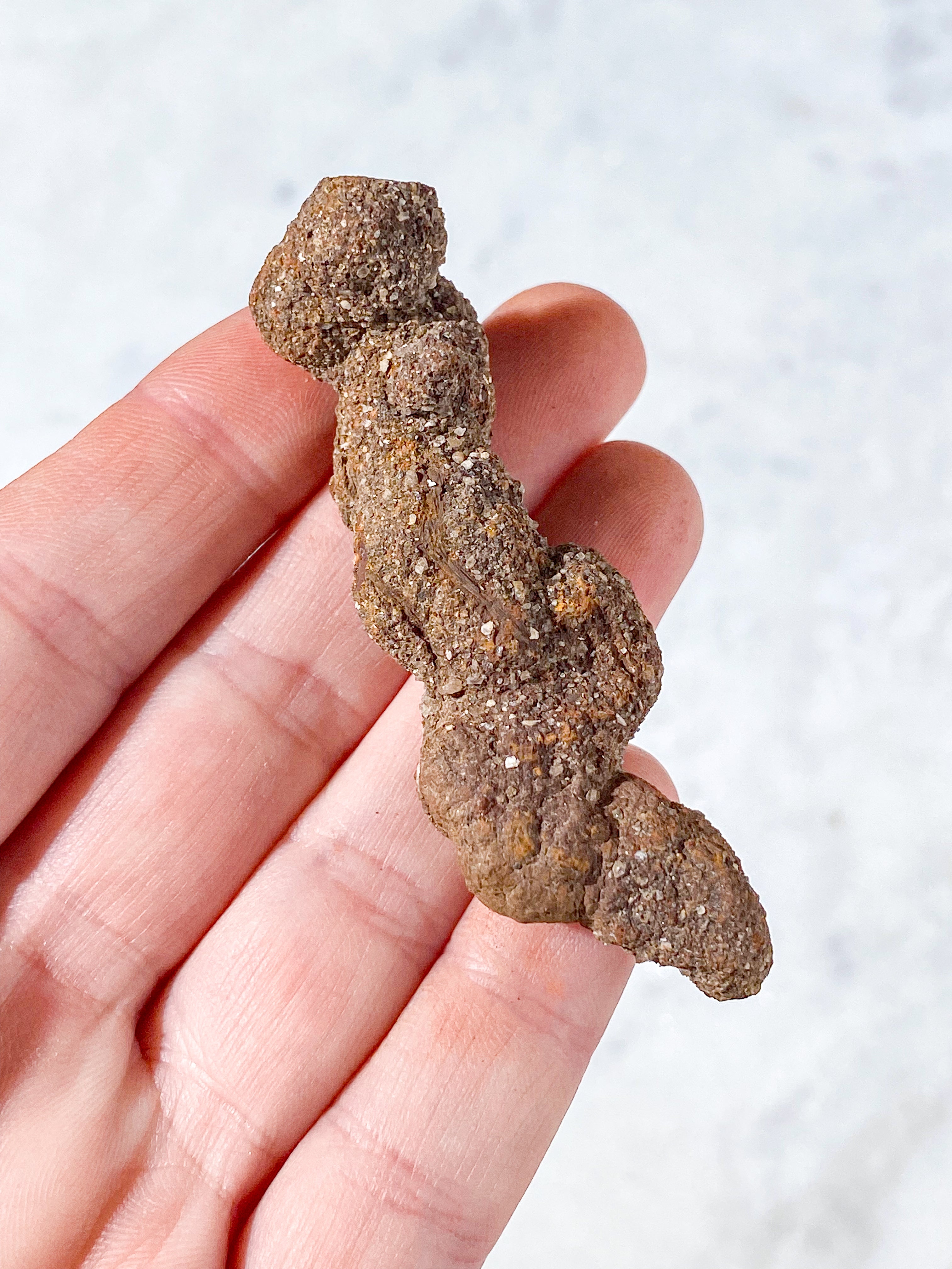 Koprolit Fossil (Nr. 8)