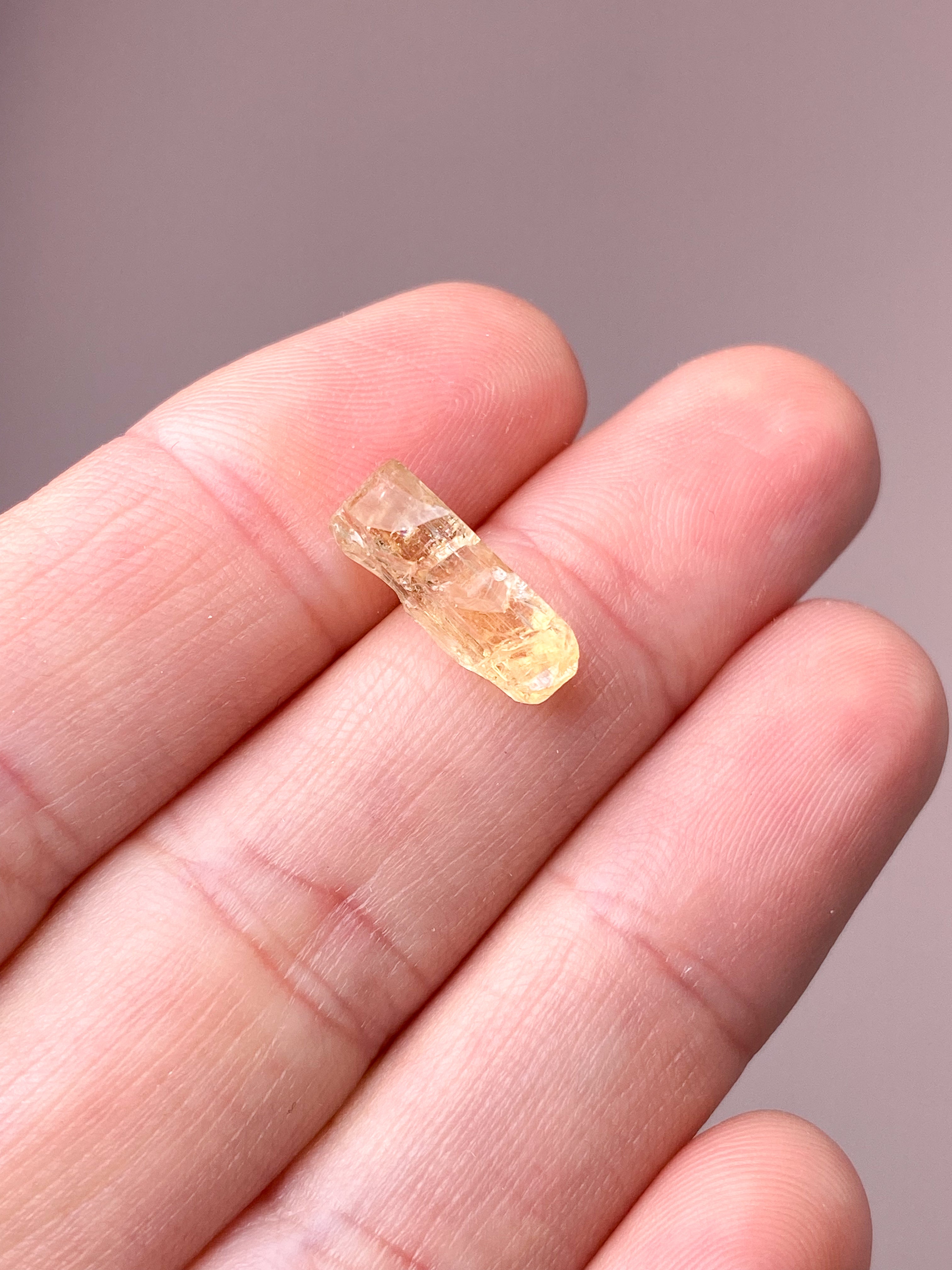 Akvamarin - Petite Heart - Guld
