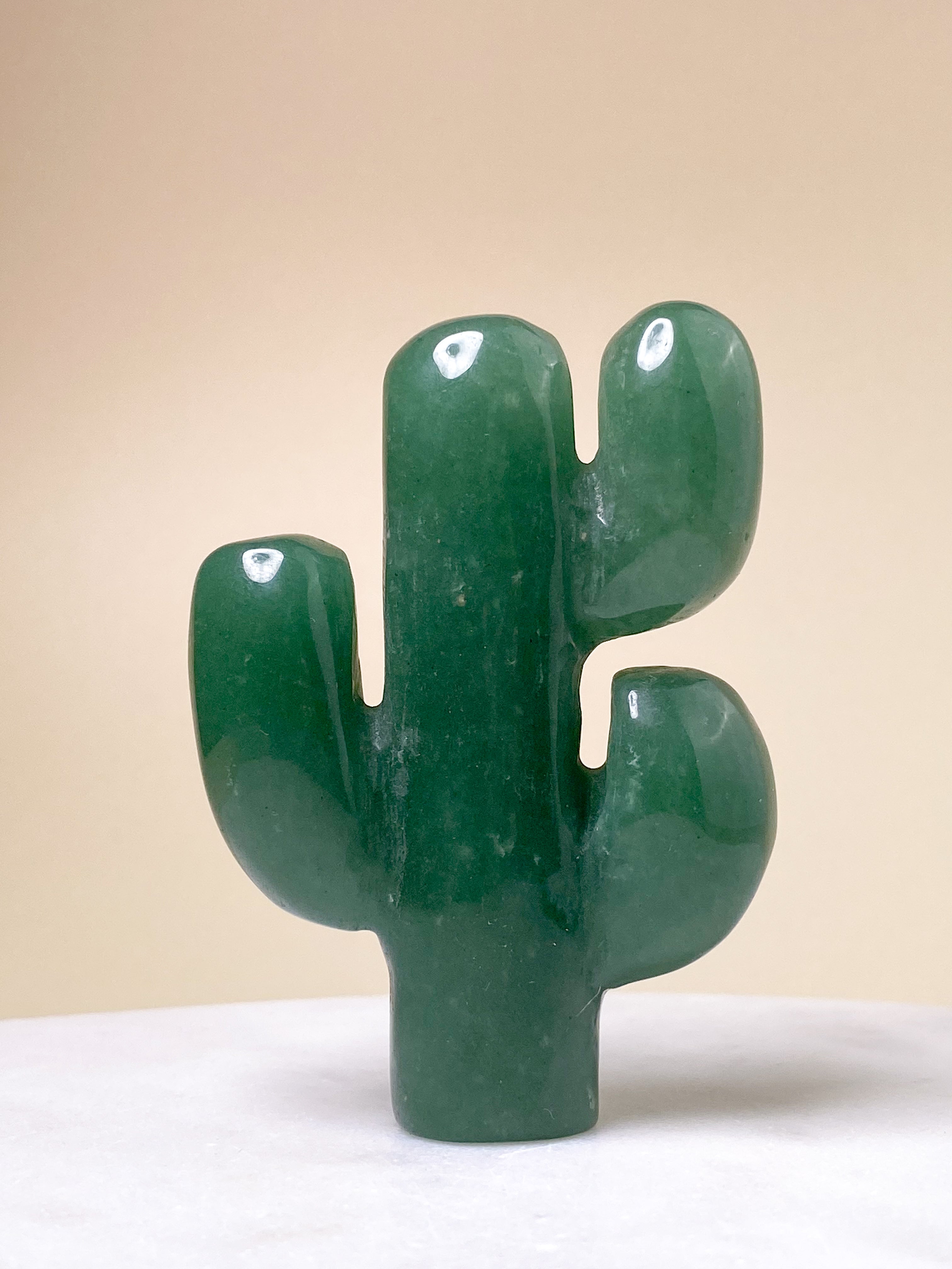 Grön aventurinkaktus