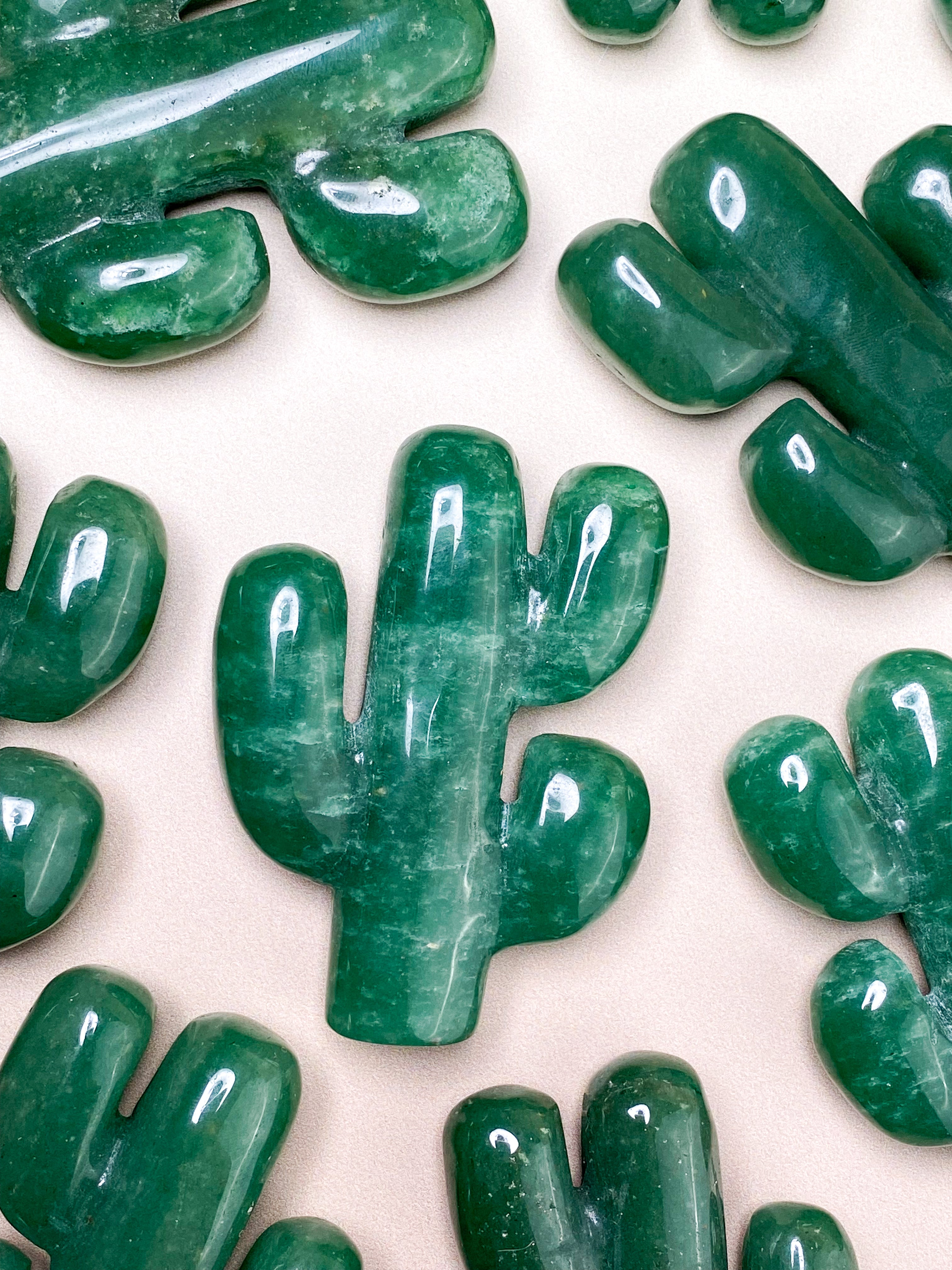 Grön aventurinkaktus