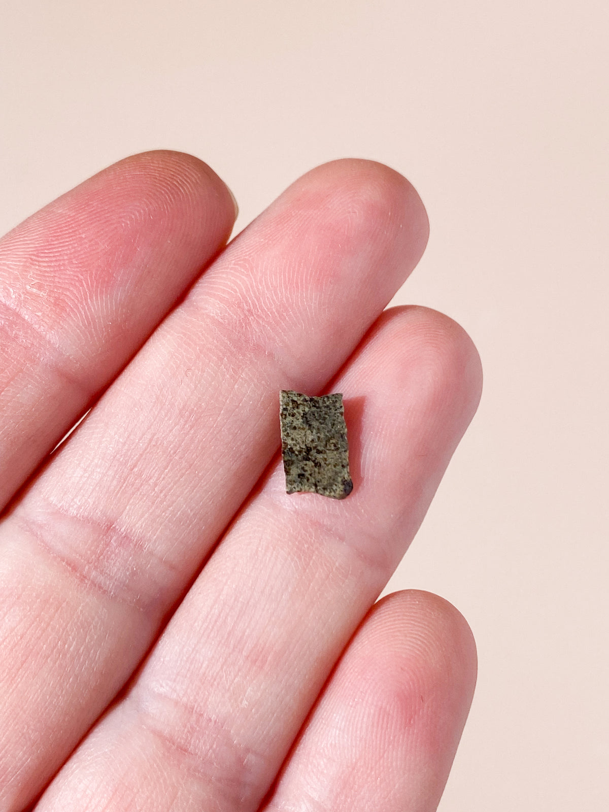Marsmeteorit – Fragment från Mars (Nr 7)