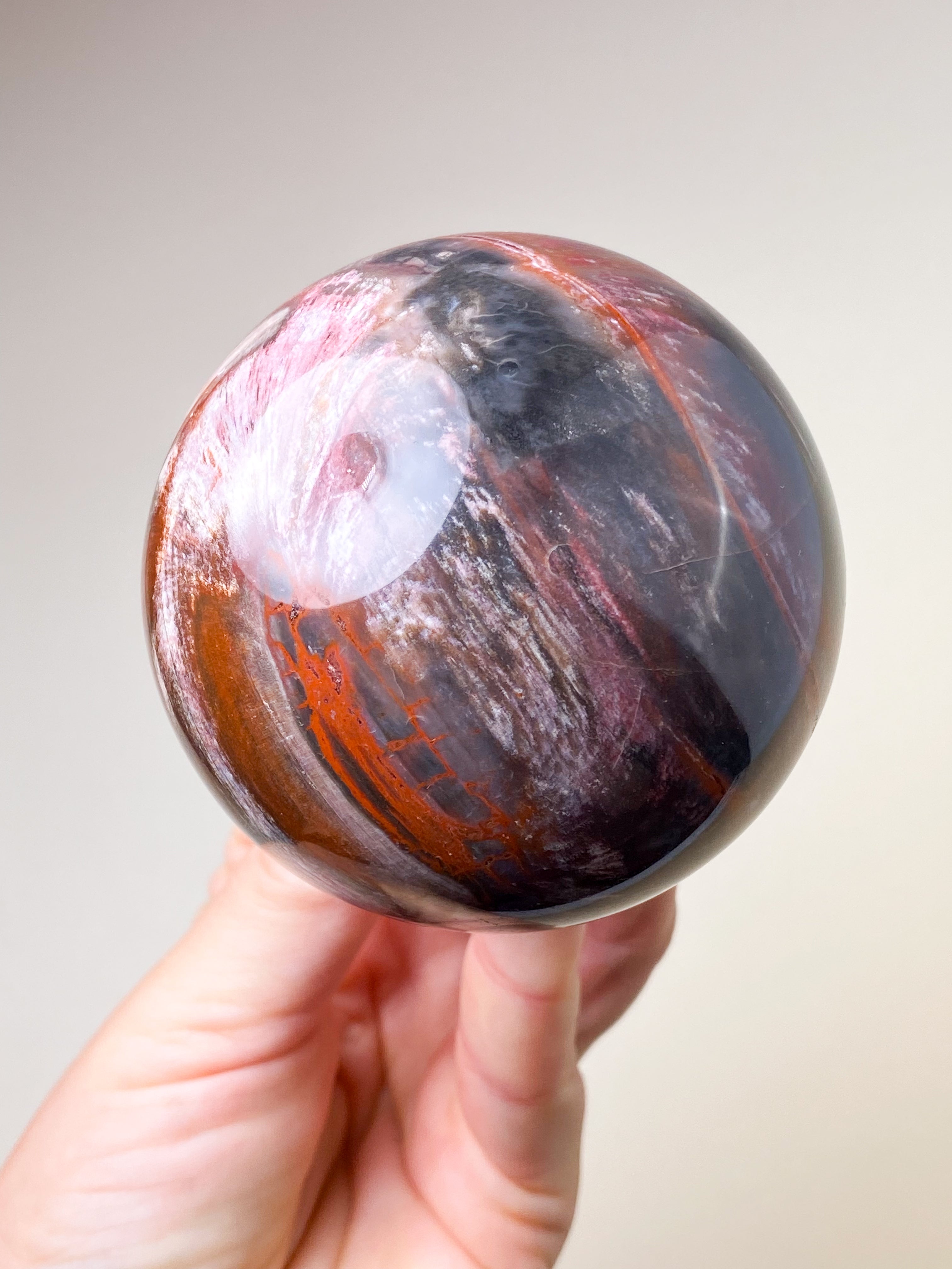 Forstenet Træ Kugle (Nr. 2)