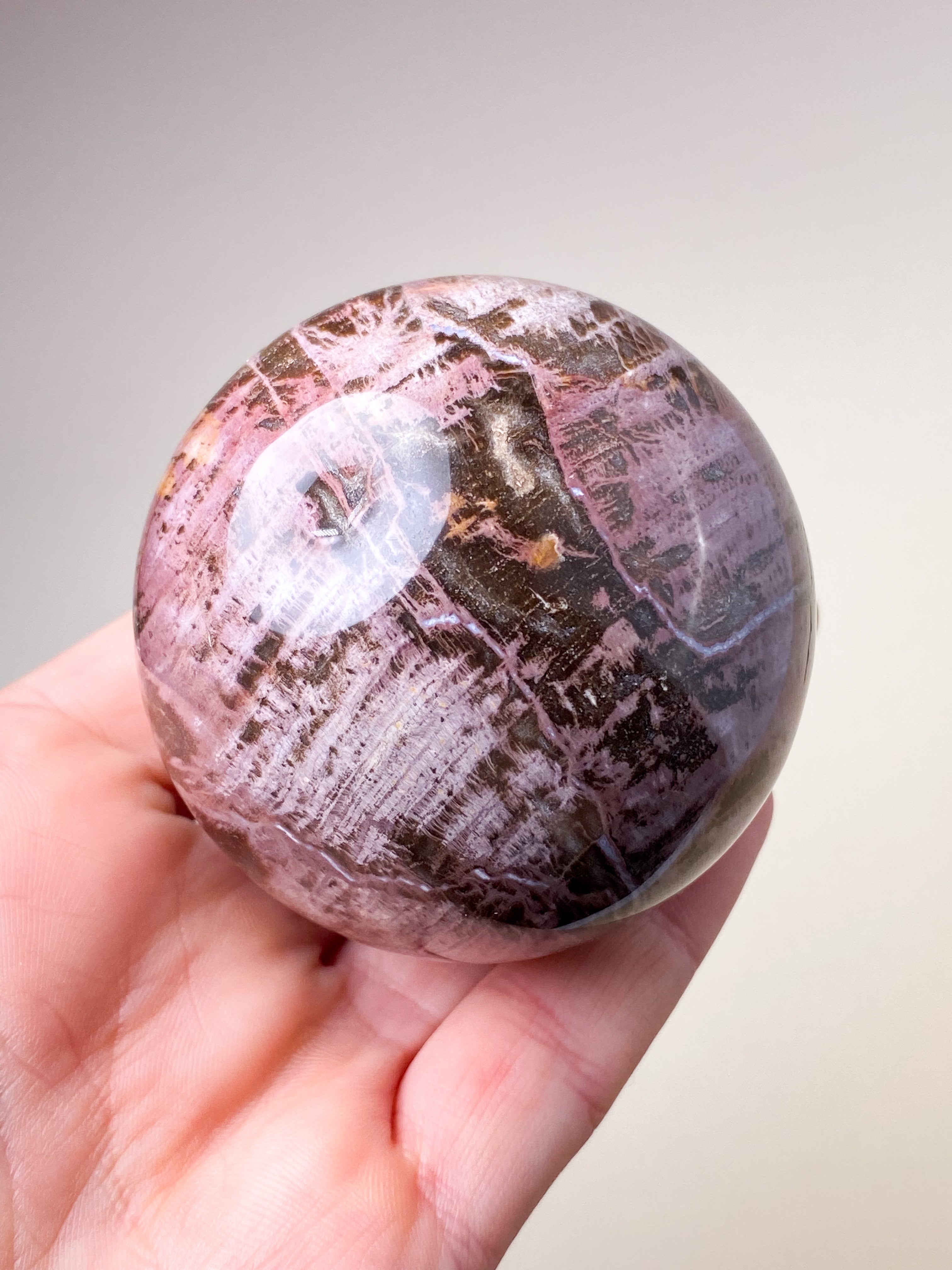 Forstenet Træ Kugle (Nr. 5)